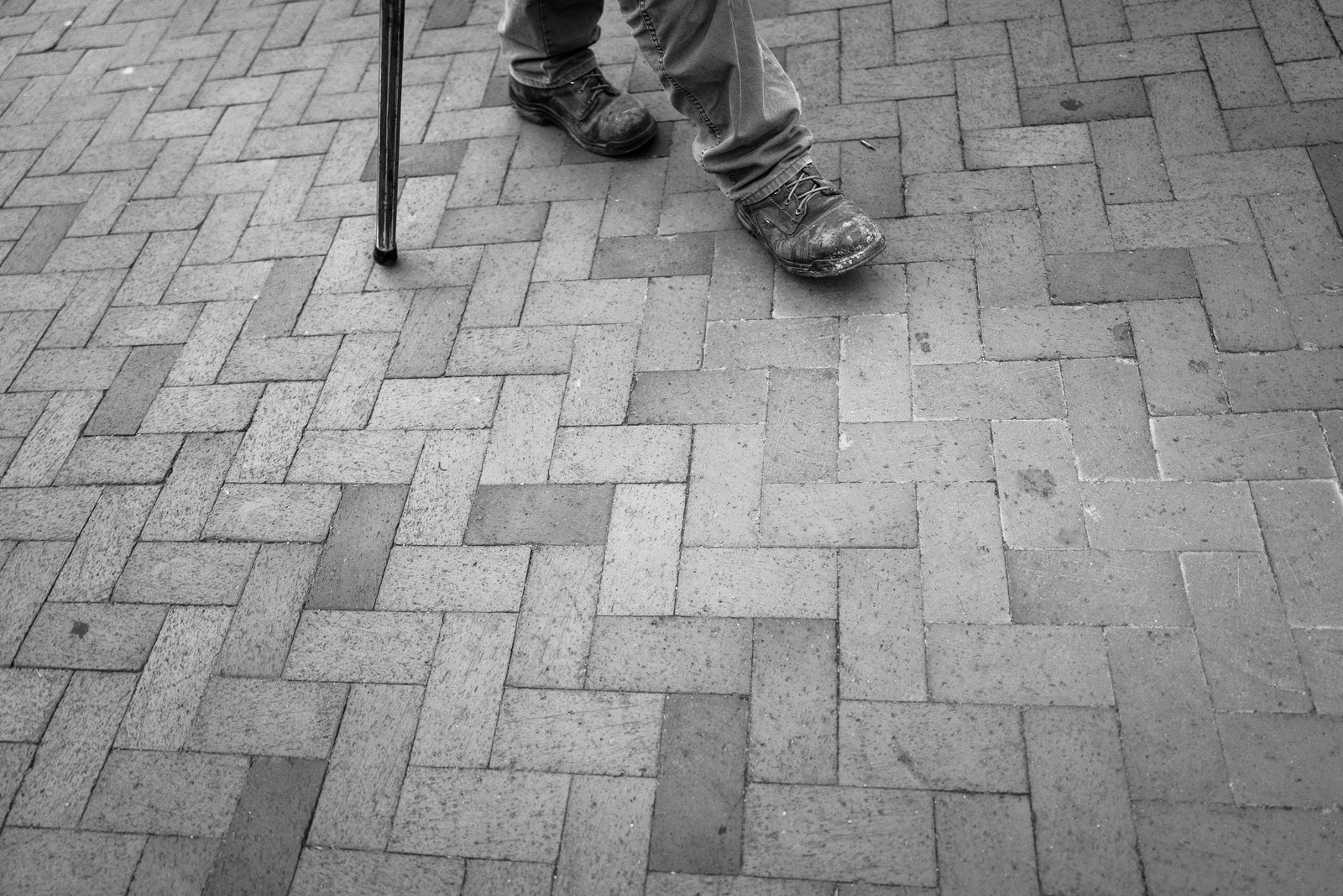 Steps on a Paved Path