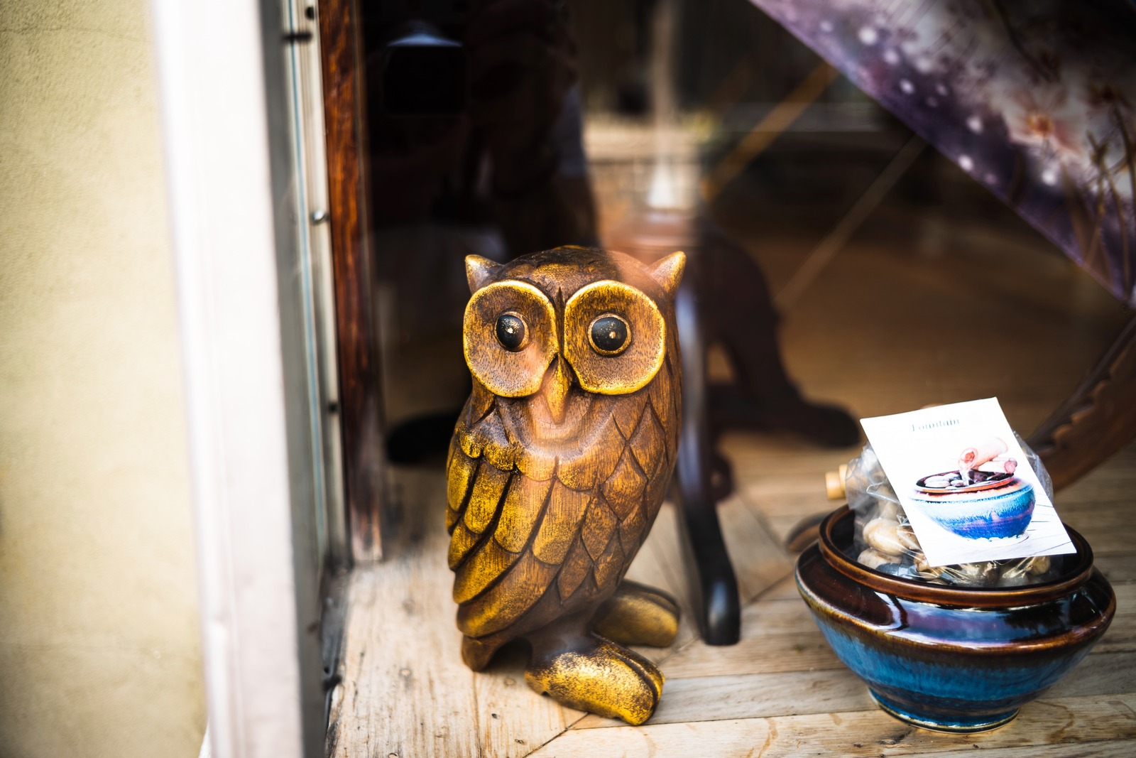 Owl in the Shop Window