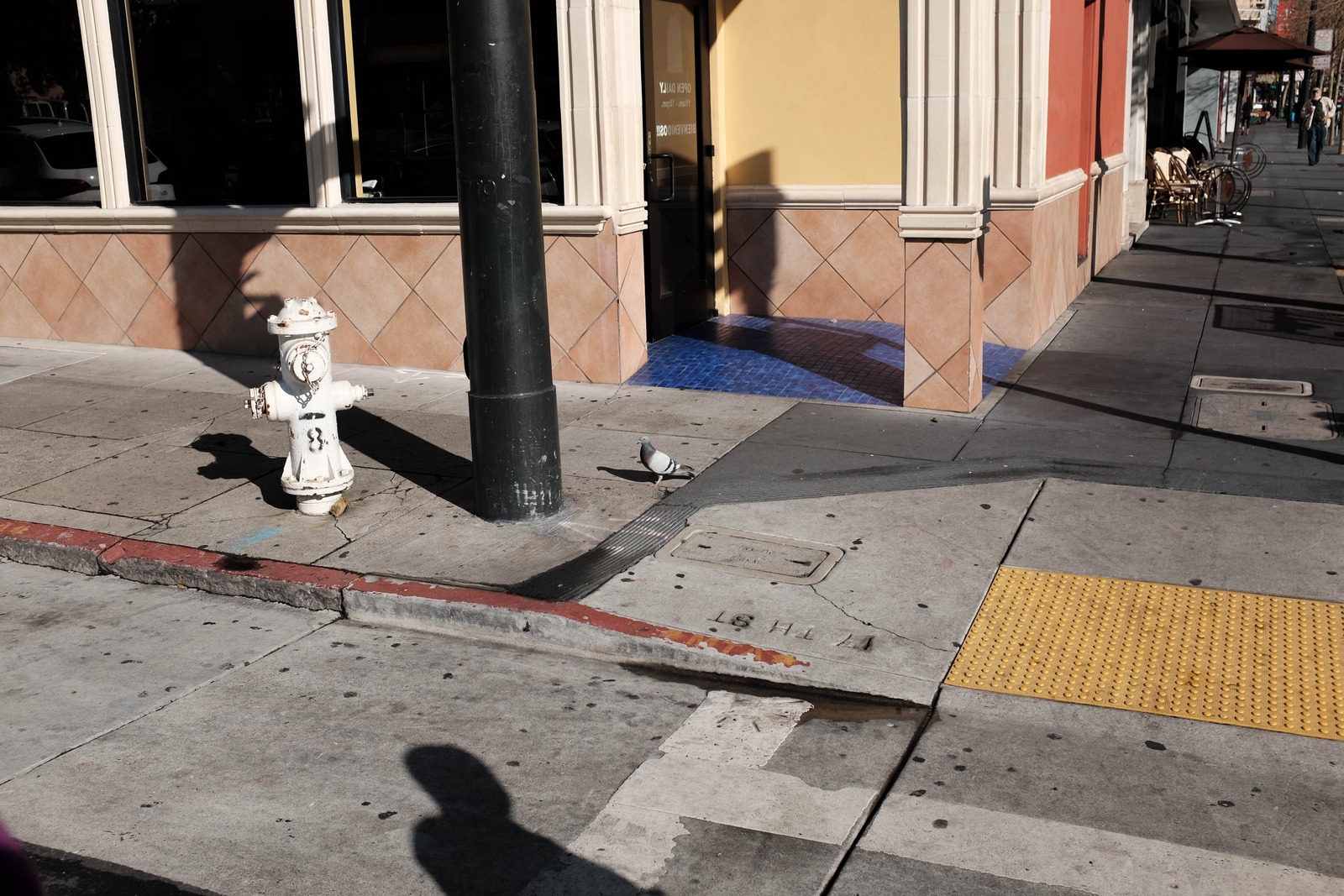 Urban Corner Serenity