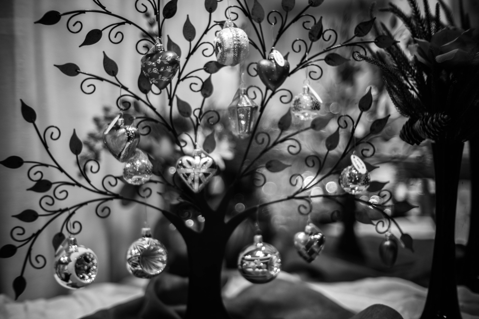 Elegance in Monochrome