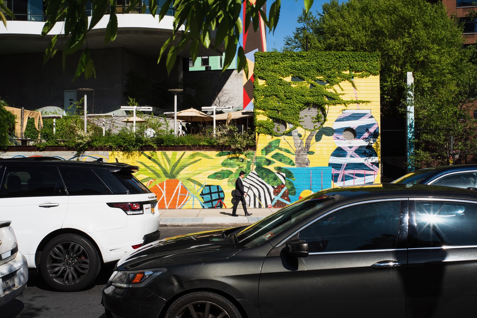 Urban Vibrance Unveiled