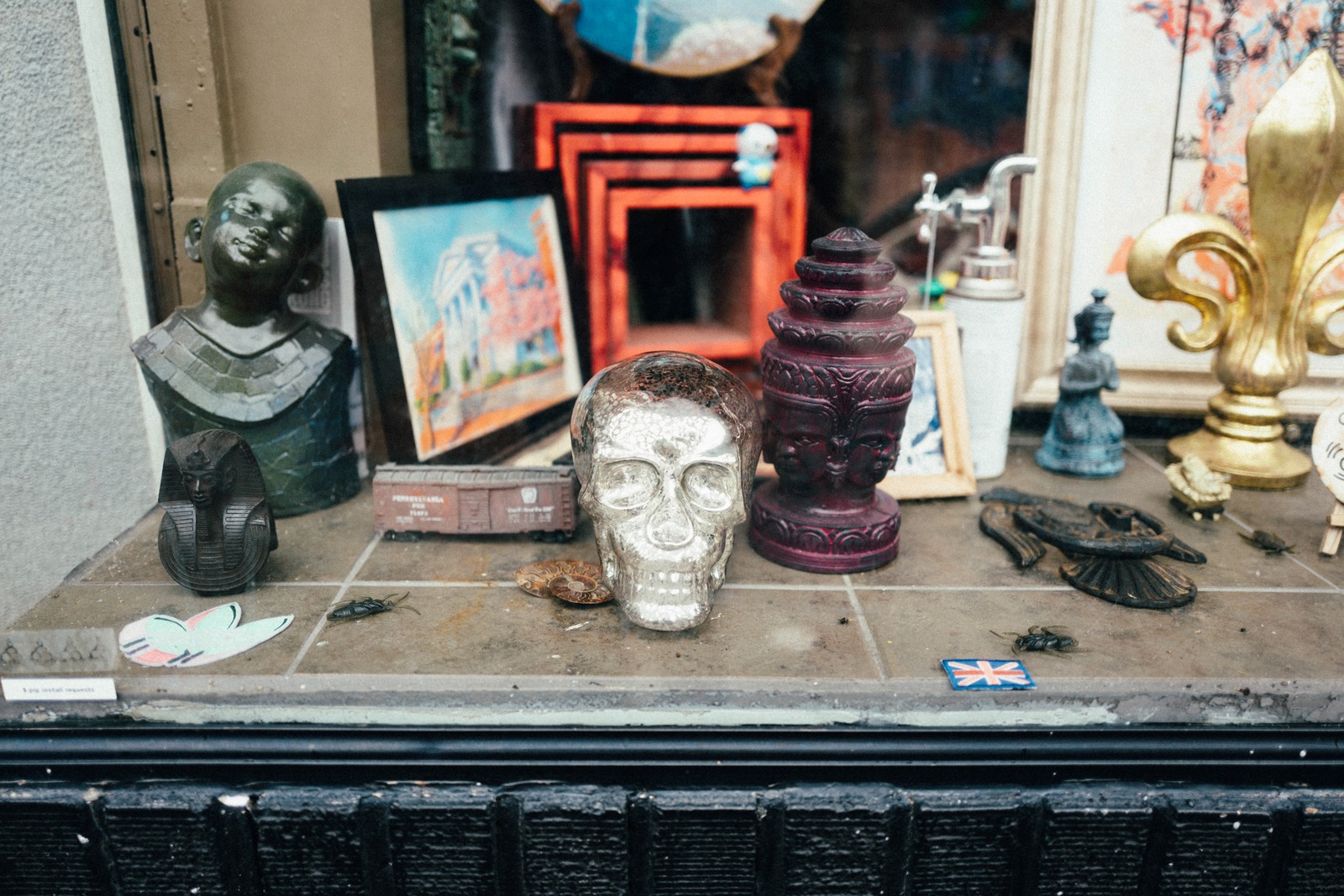 Curiosities in Display