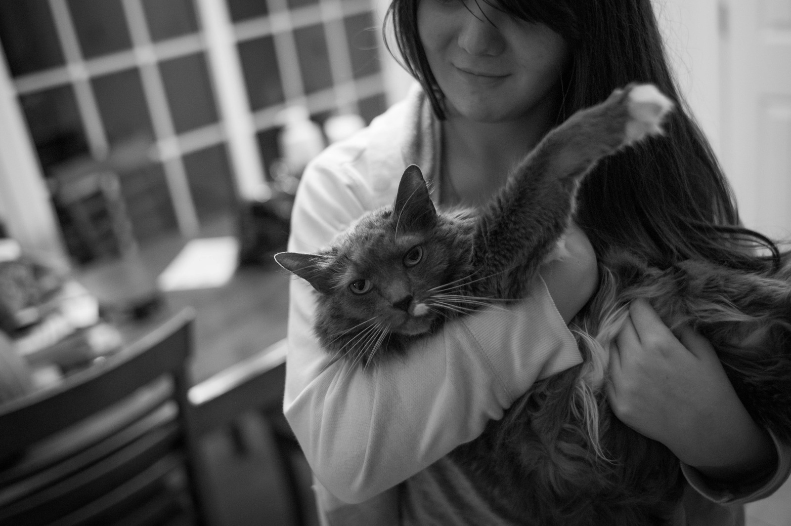 A Moment of Companionship