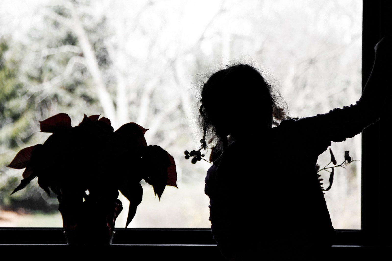 Silhouette by the Window