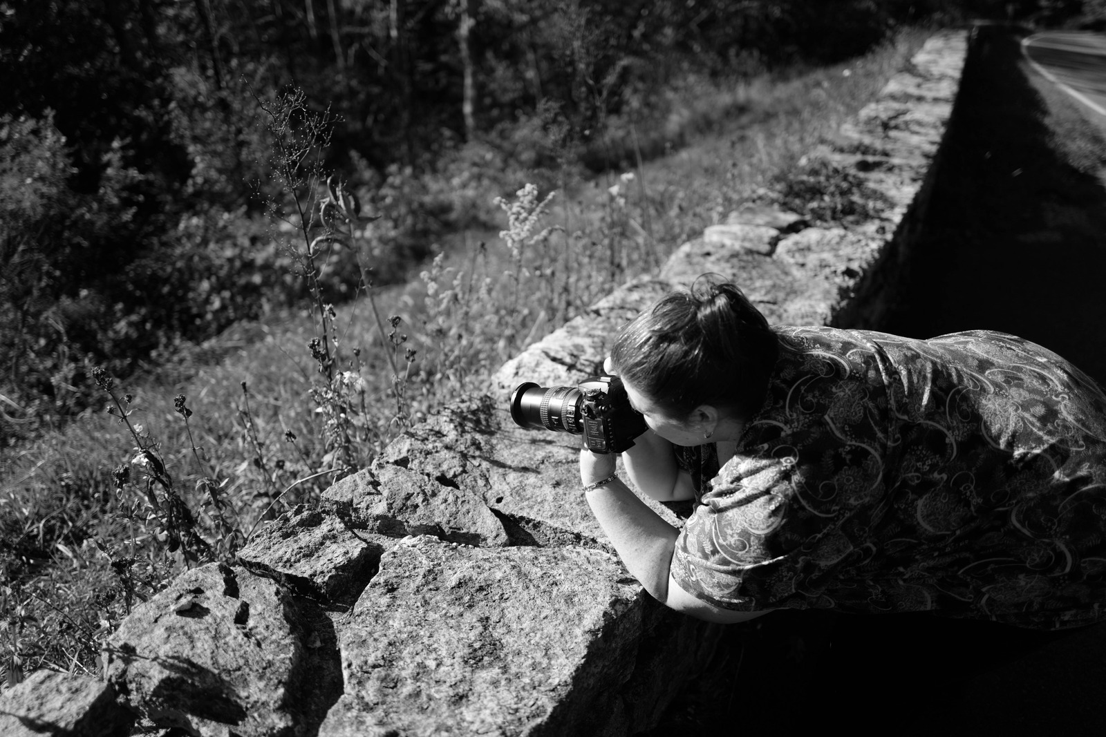 Capturing Nature's Detail