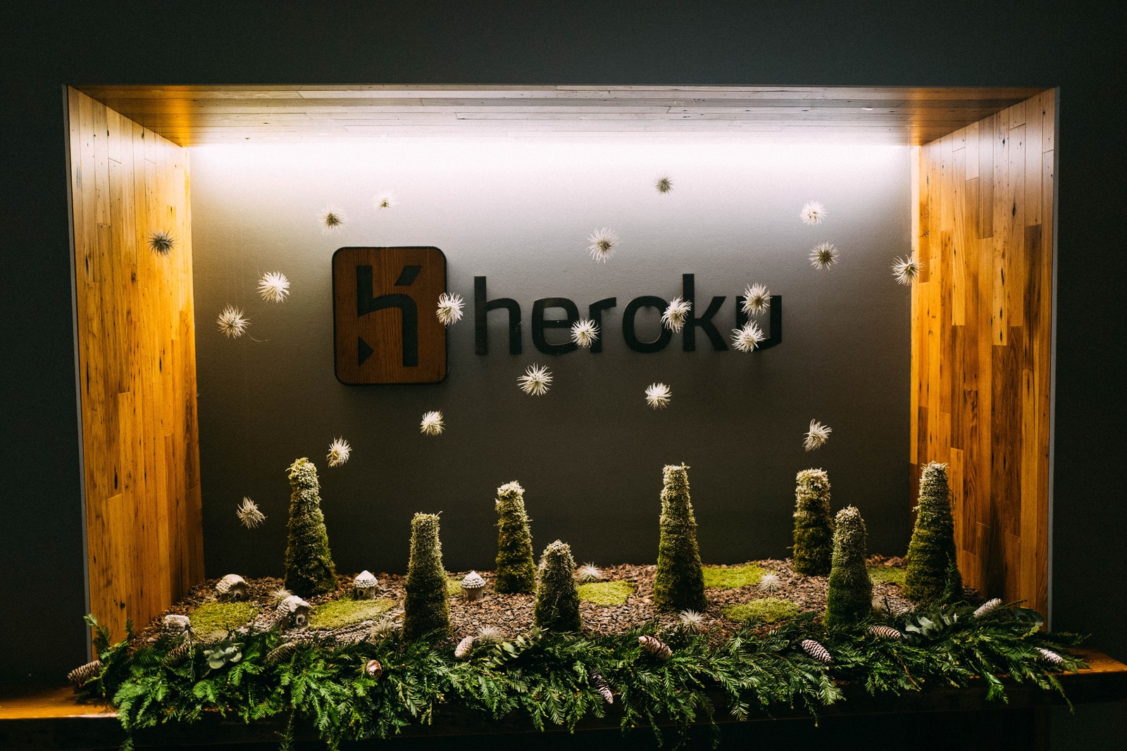 Nature Meets Innovation