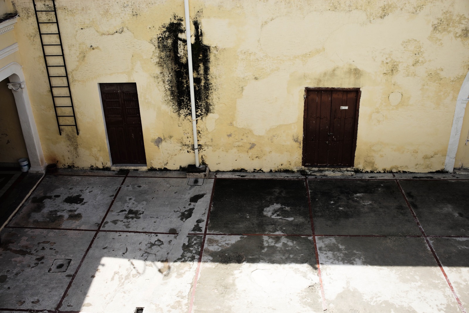 Echoes of Abandonment