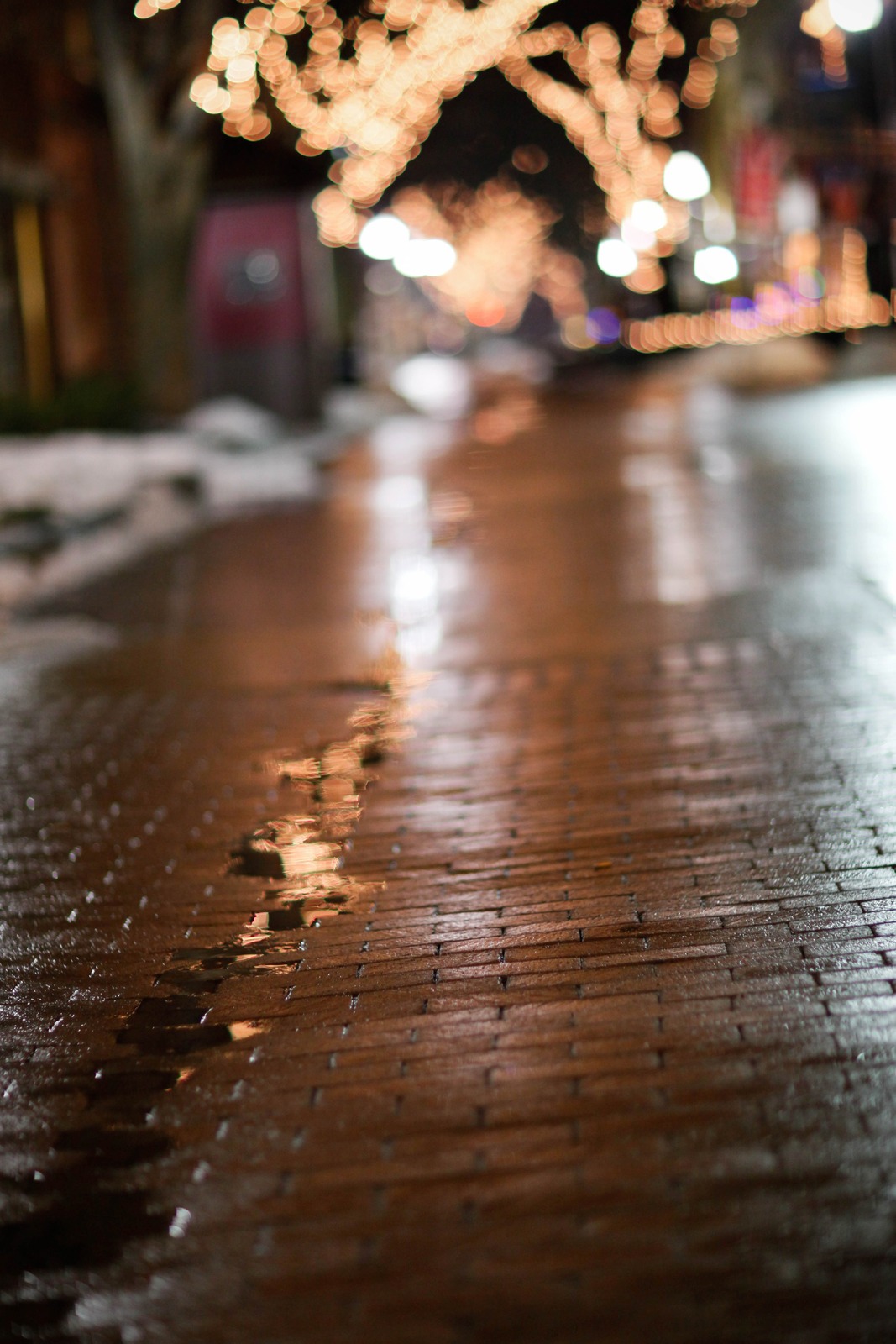 Glistening Pathway at Night
