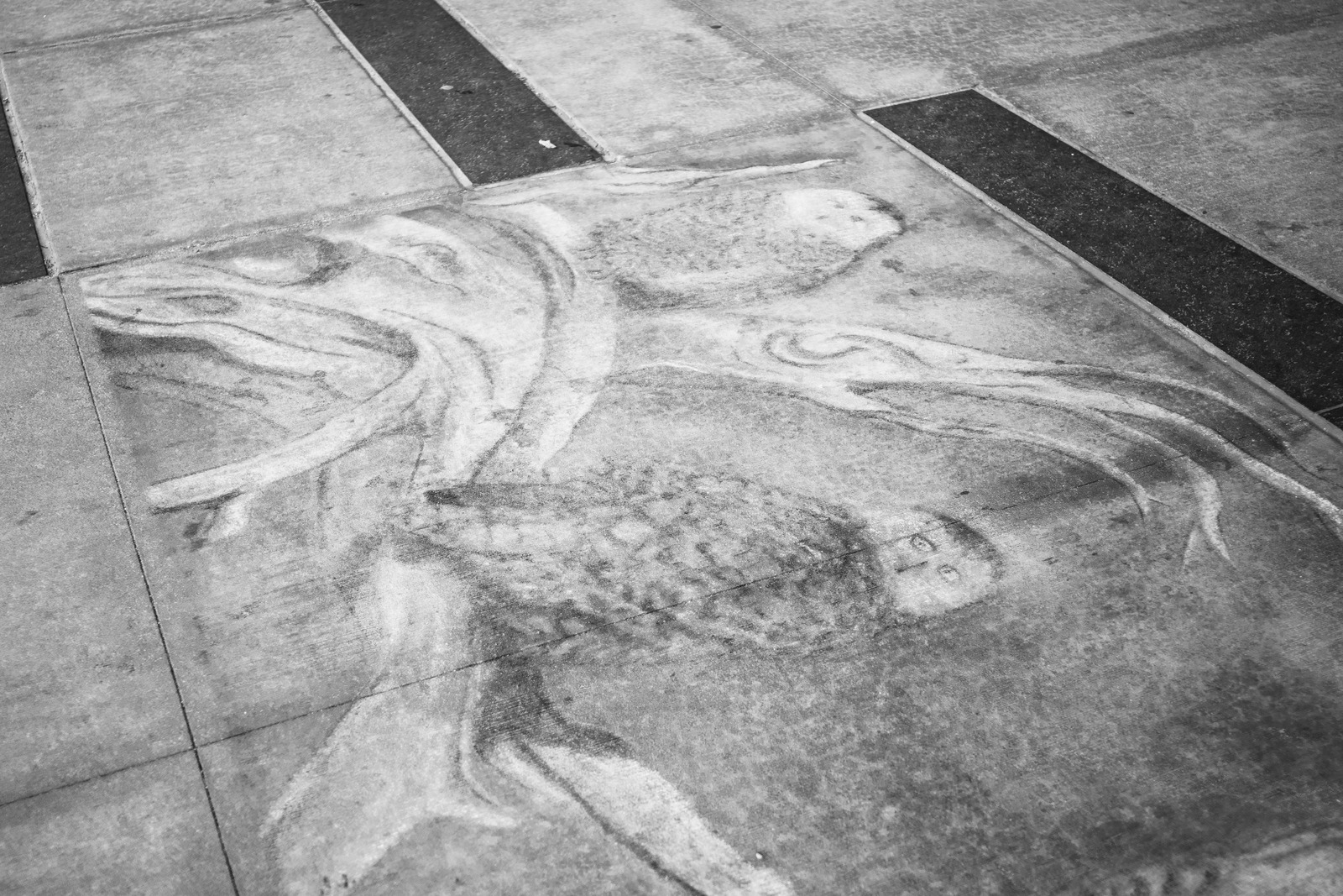 Whispers of Urban Artistry