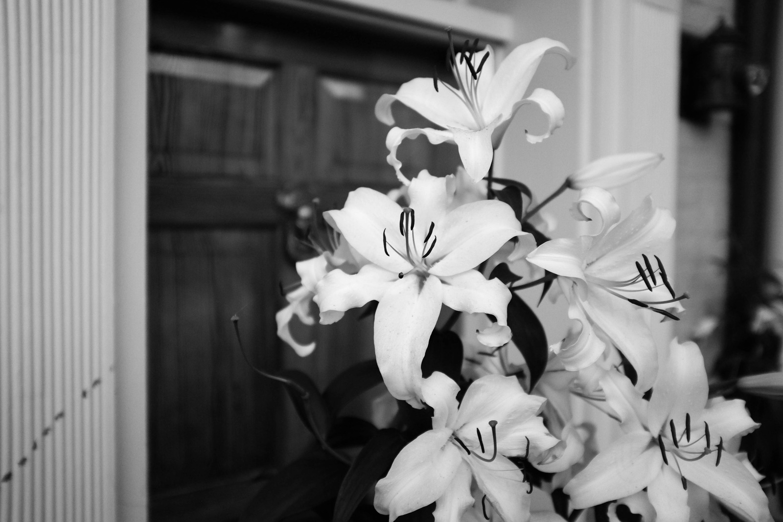 Elegance in Monochrome