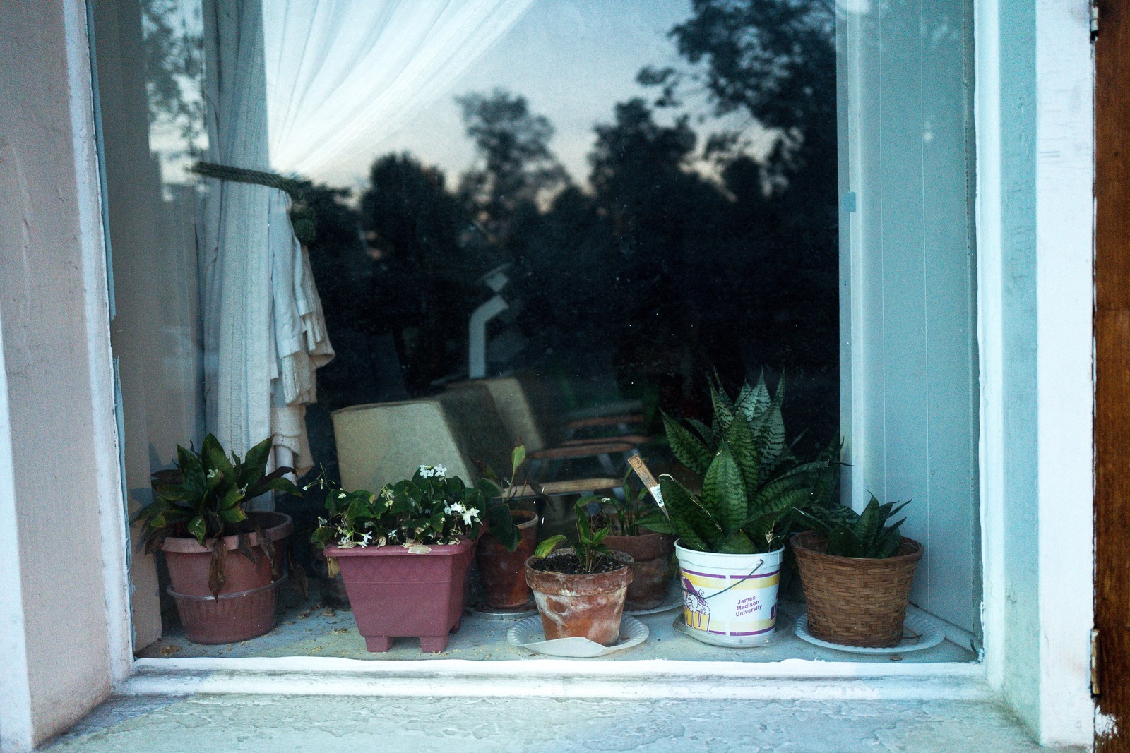 Serene Indoor Garden