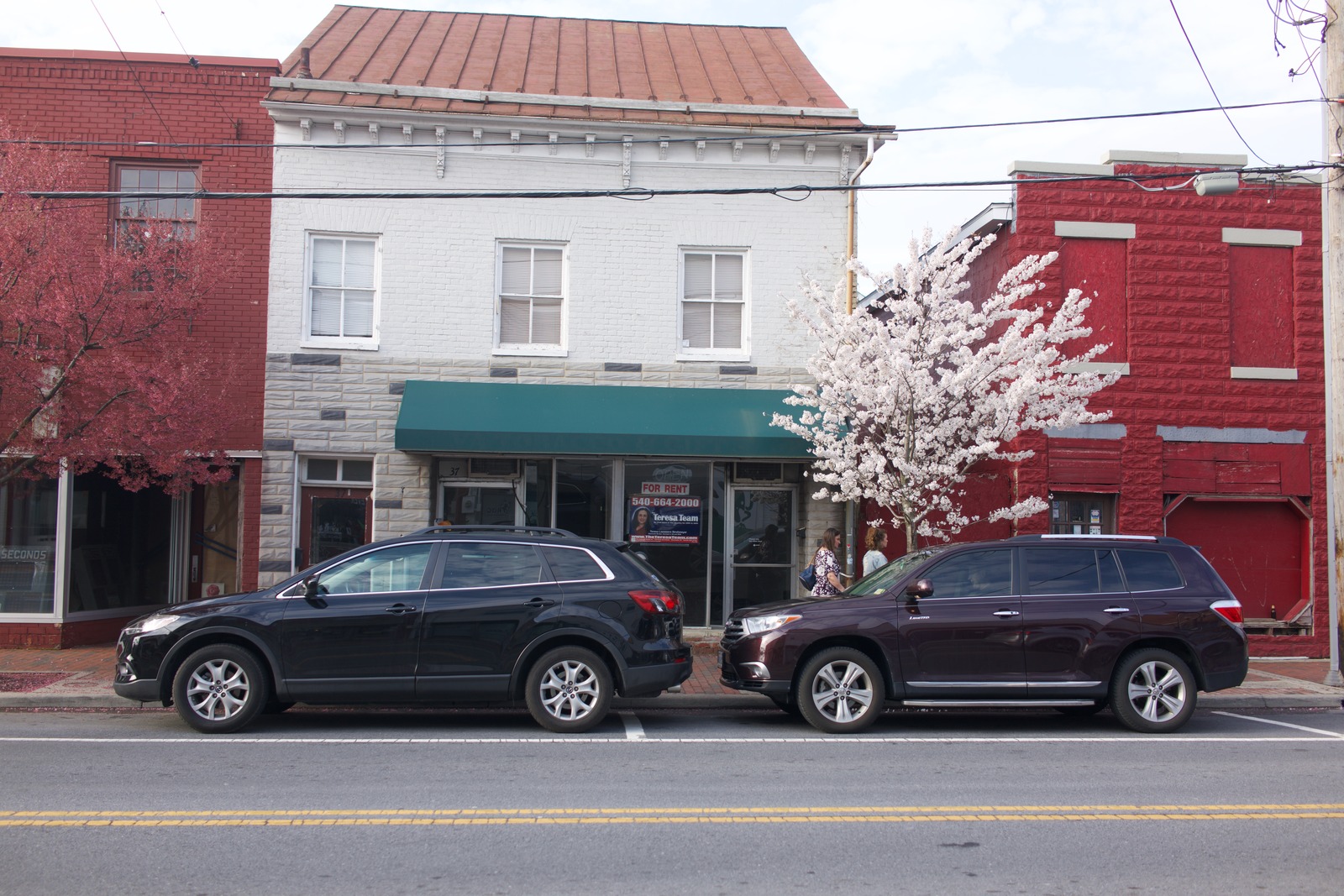 Springtime Urban Scene
