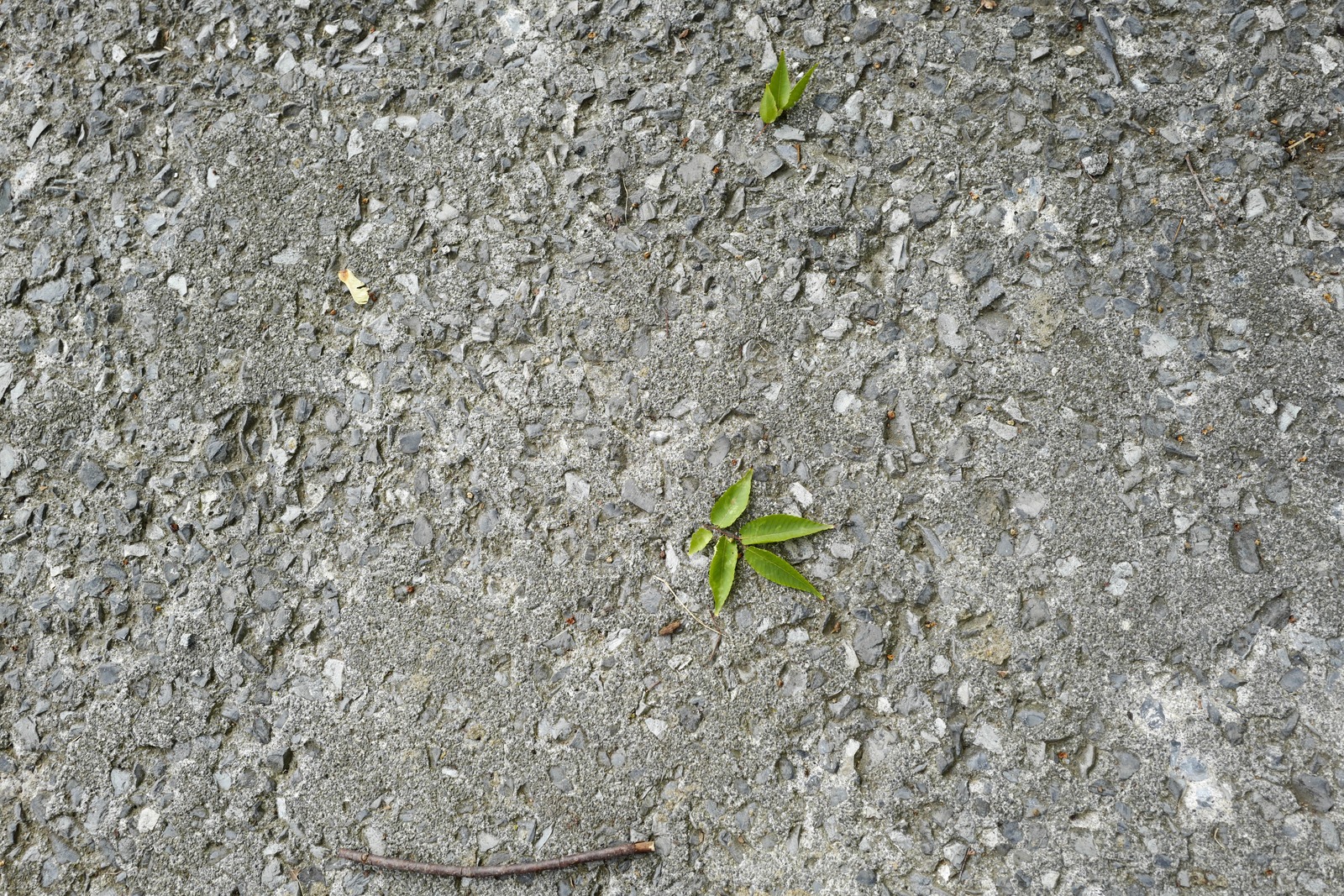 Resilience Amidst Grit