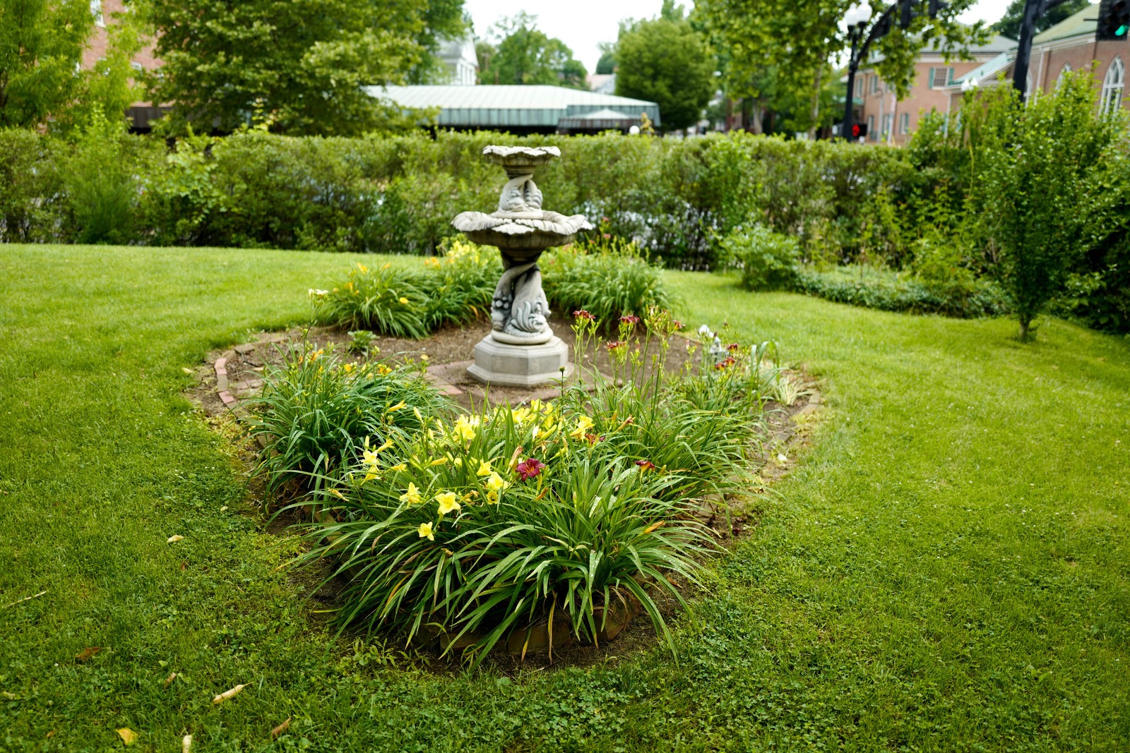 Serene Garden with Fountain