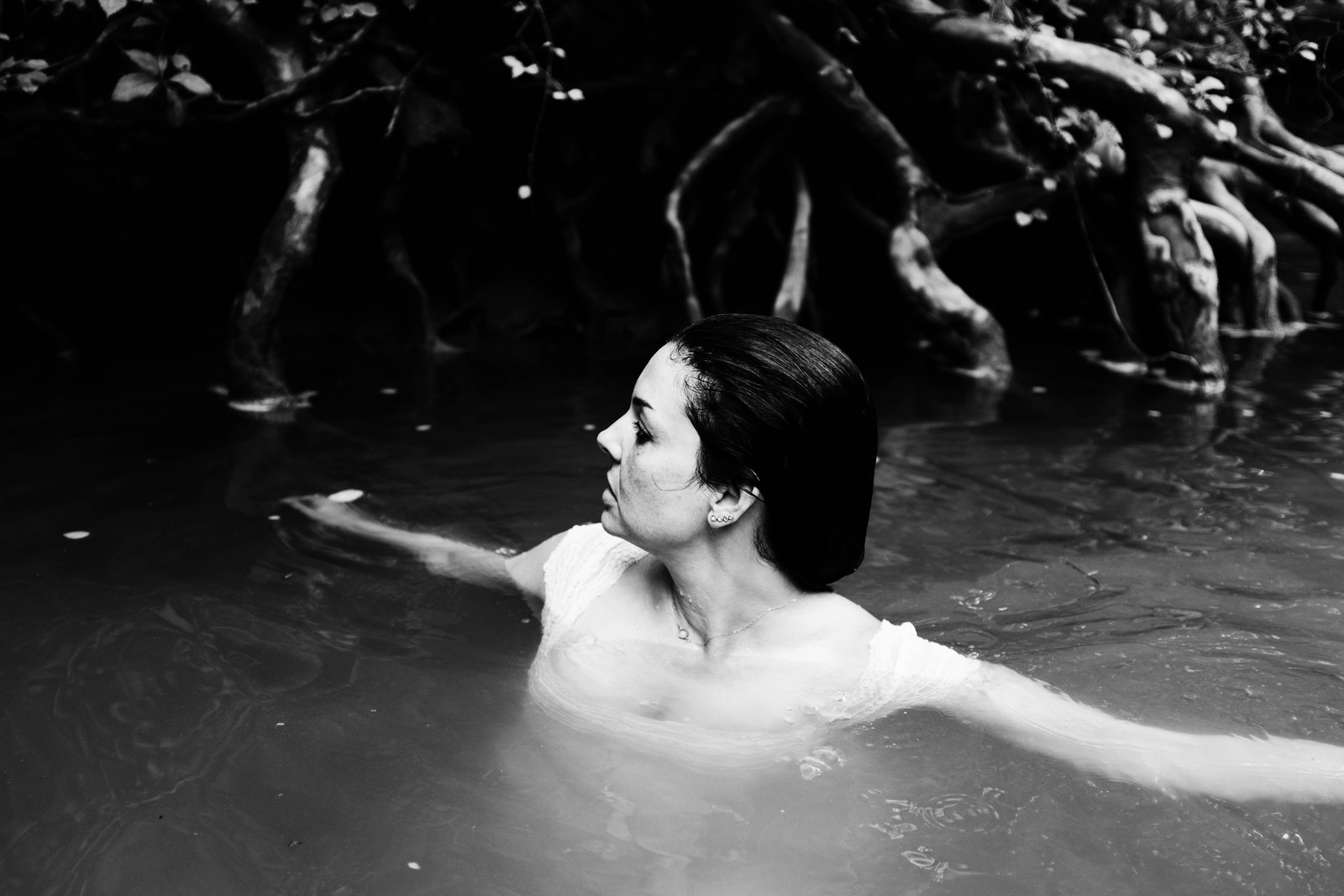 Elegance in Stillness