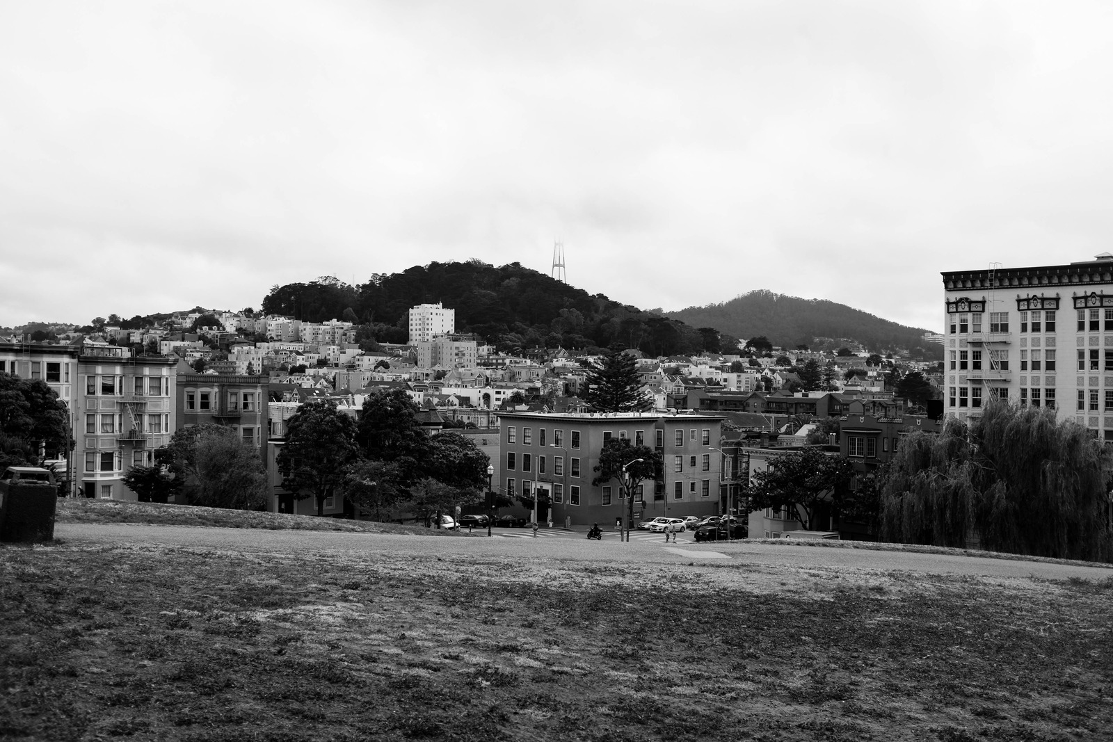 Urban Serenity in Monochrome
