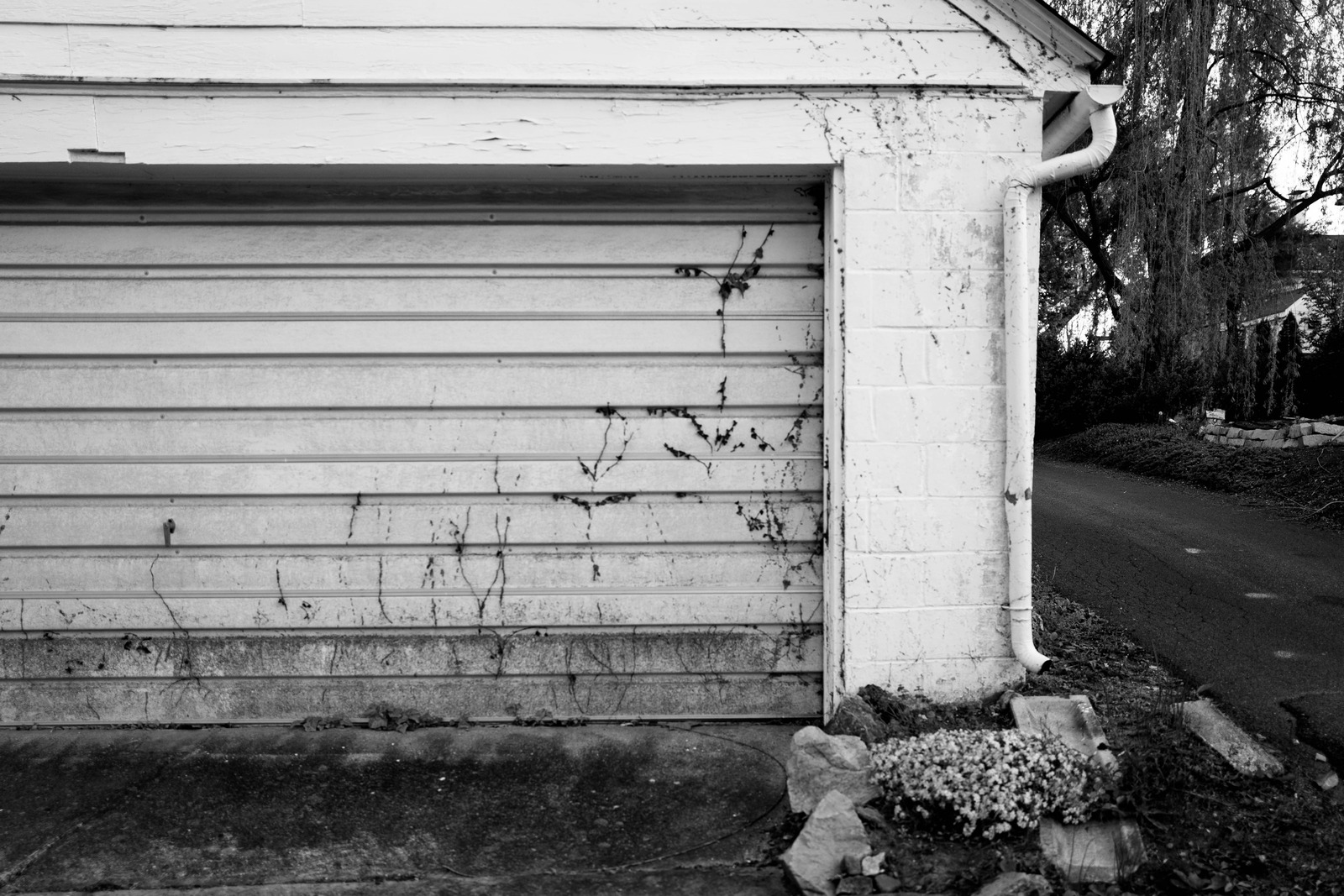 Whispers of Abandonment