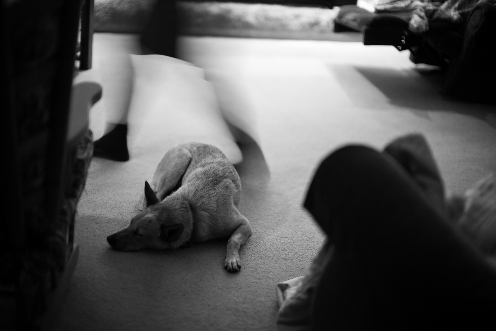 Quiet Evening at Home