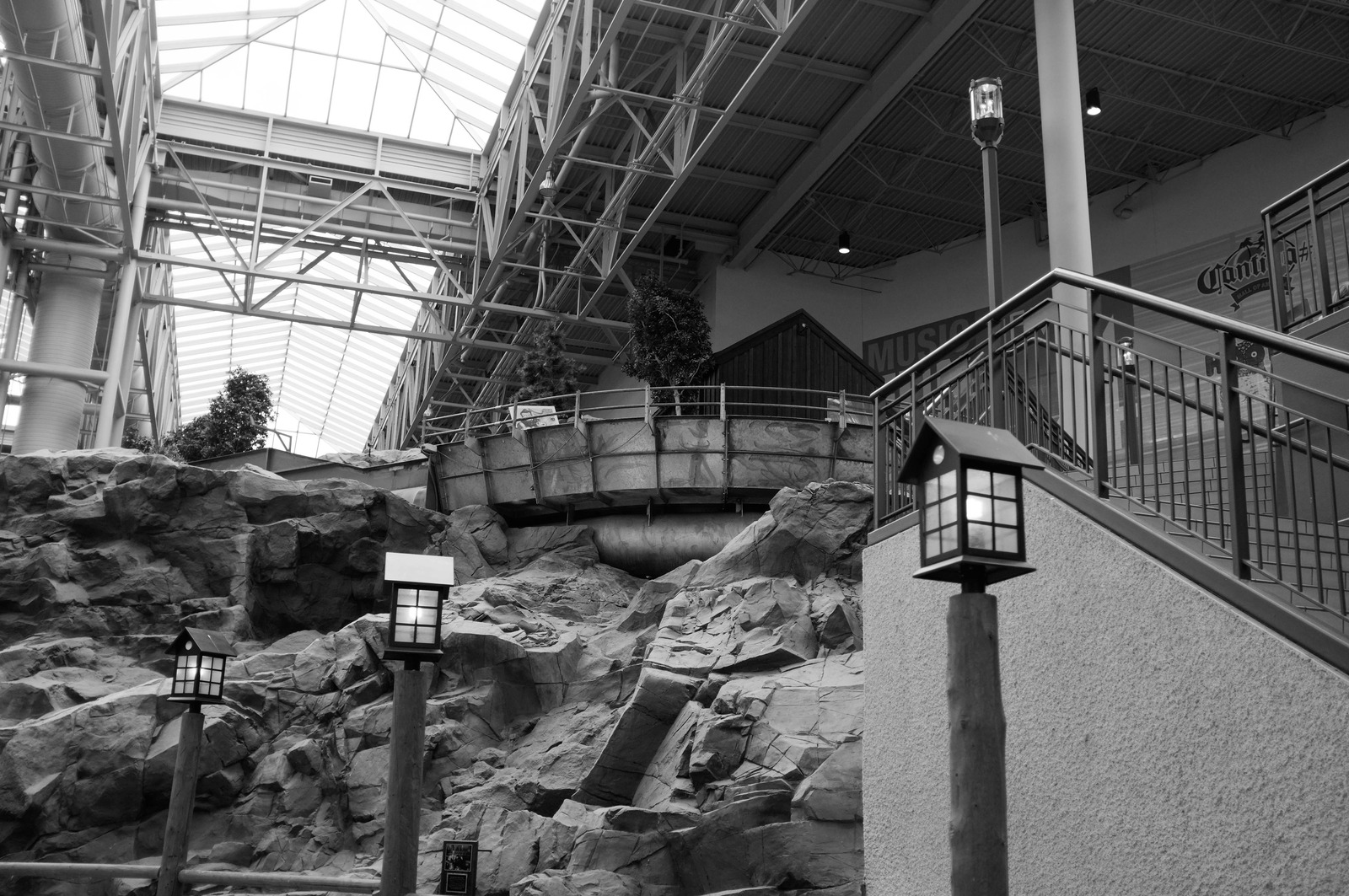 Urban Oasis in Monochrome