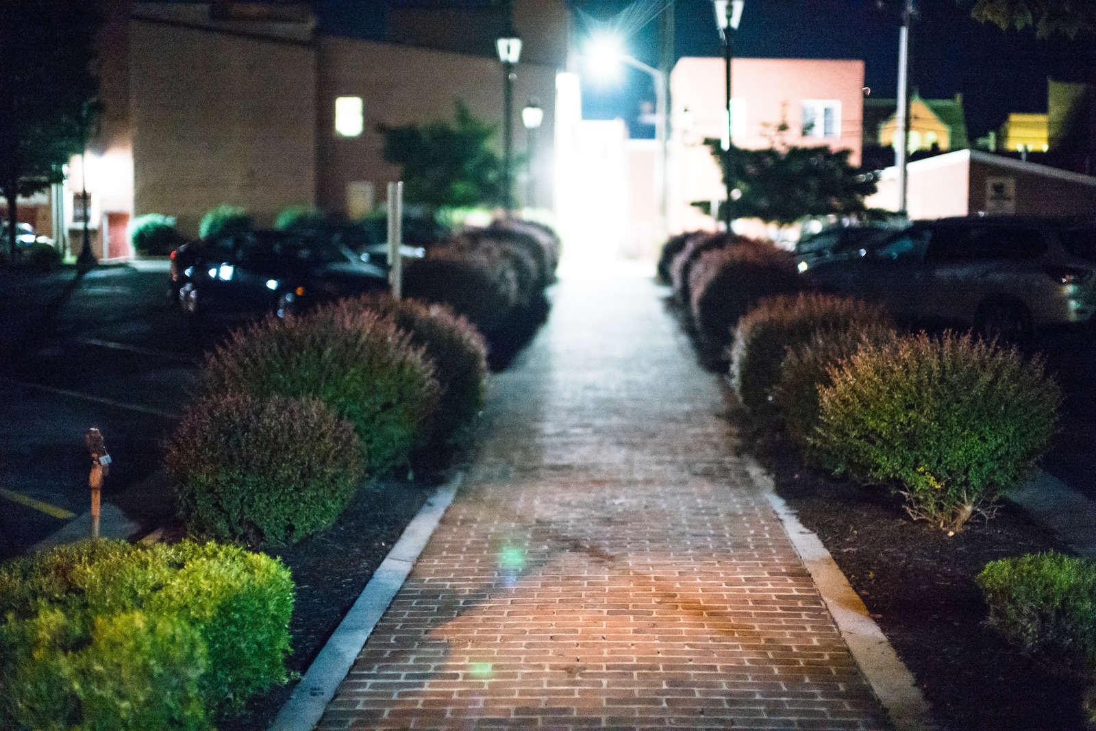 Night Walkway Serenity