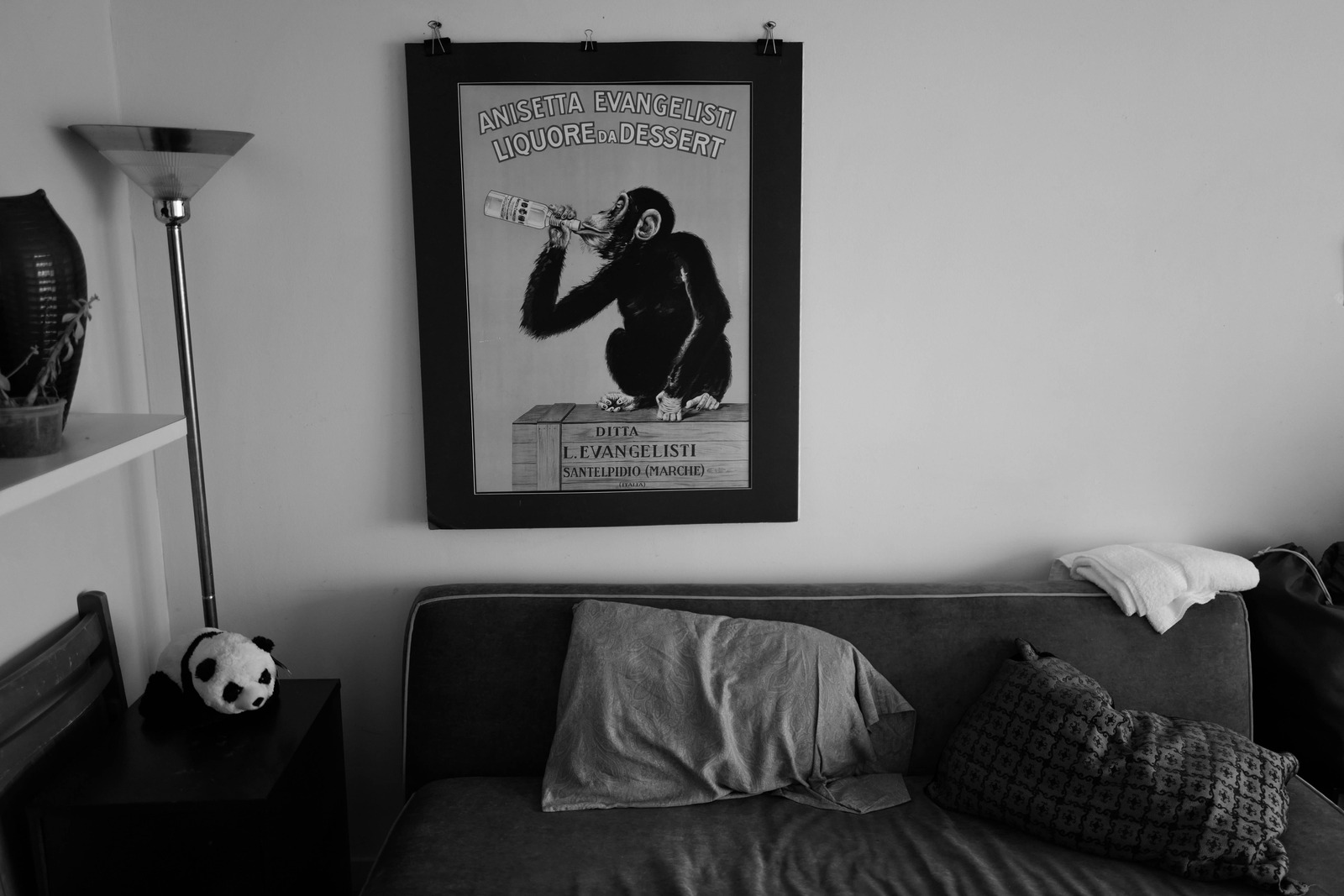 Charming Living Space