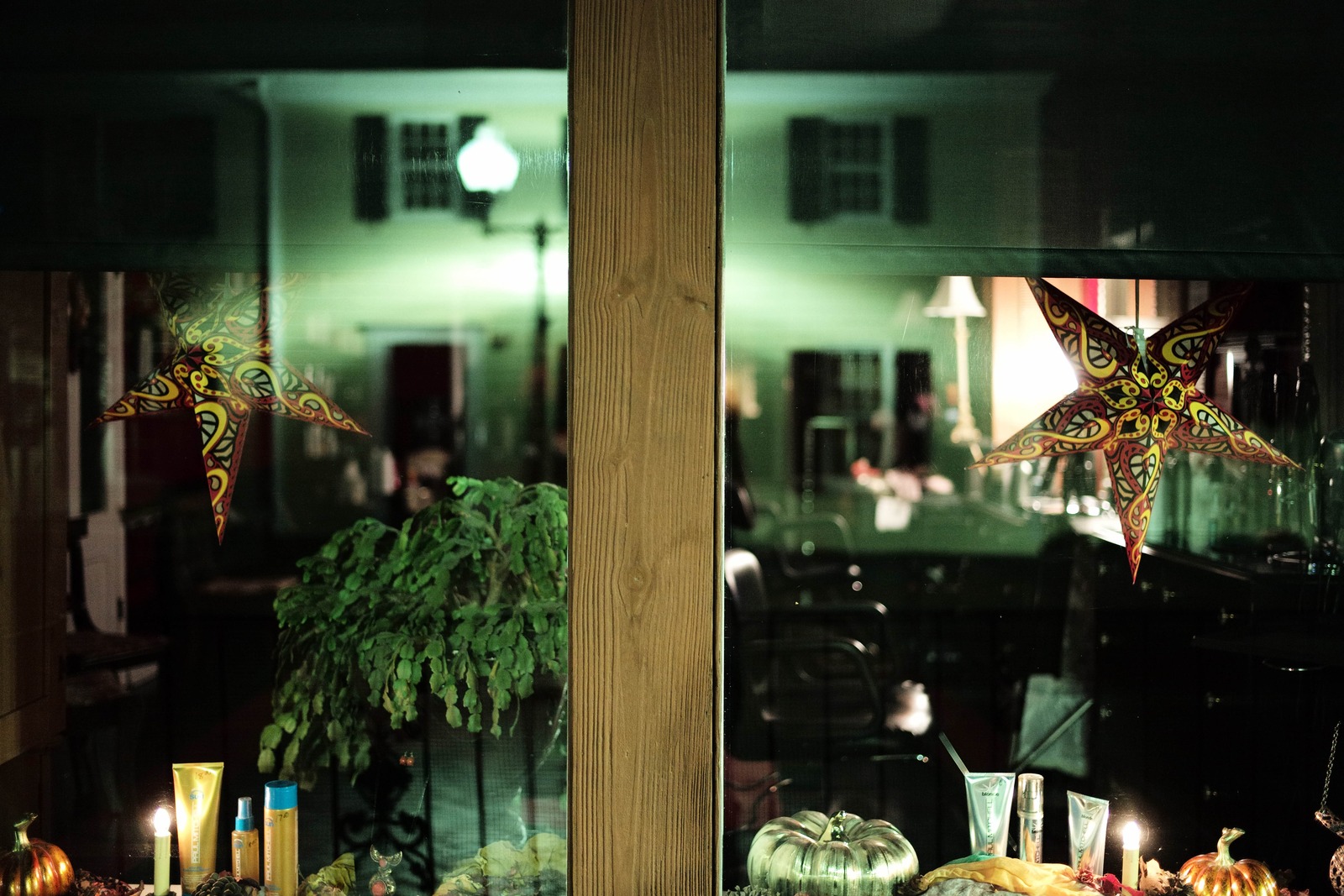 Whimsical Night Reflection