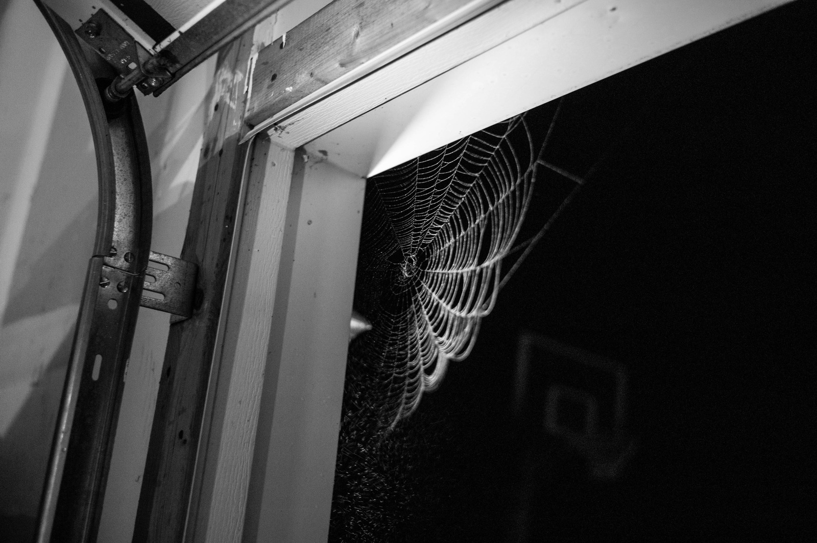 Whispers of the Night