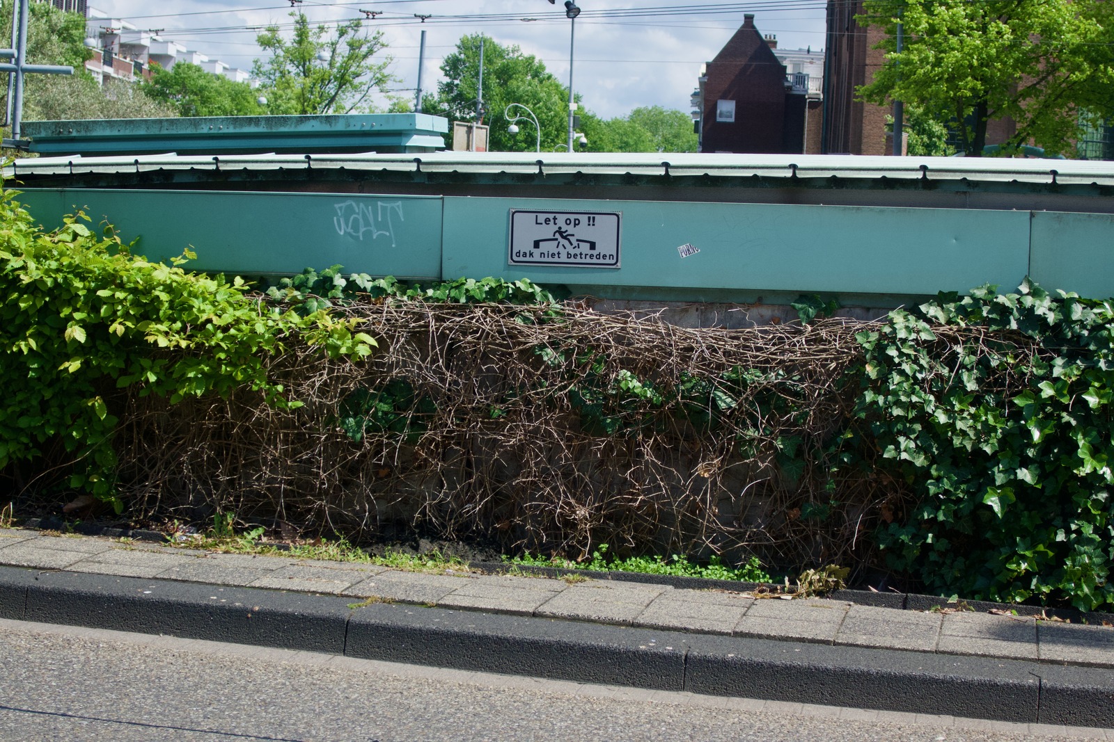Urban Overgrowth Alarm