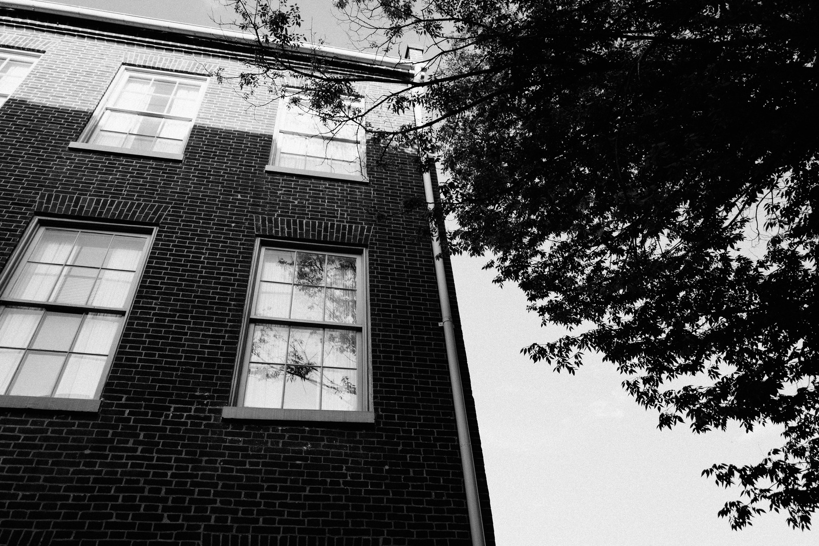 Urban Angles in Monochrome