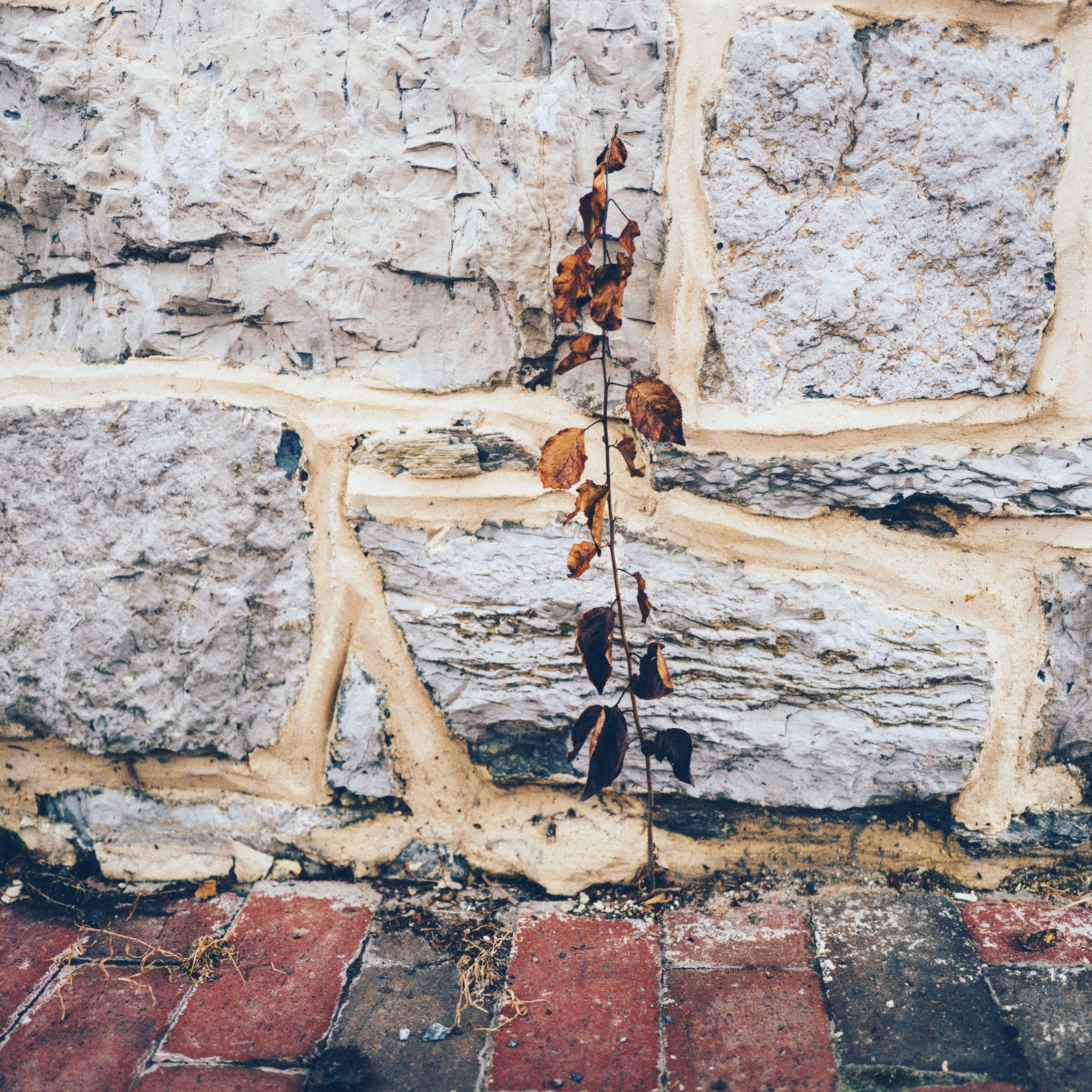 Resilience Against Stone