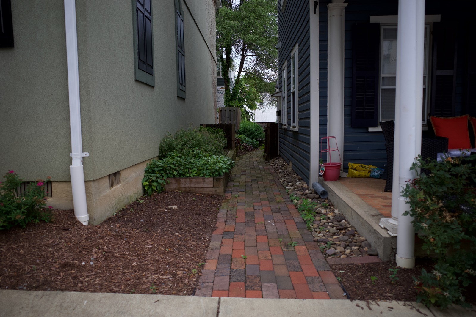 Pathway Through Serenity