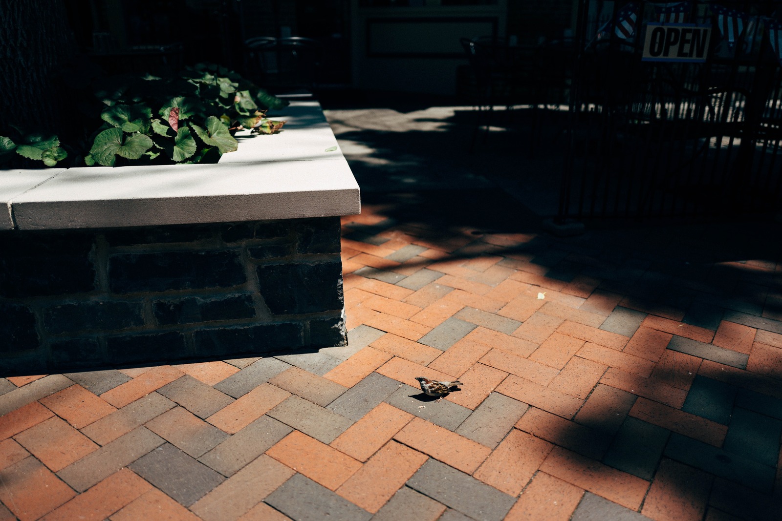 A Quiet Moment of Nature