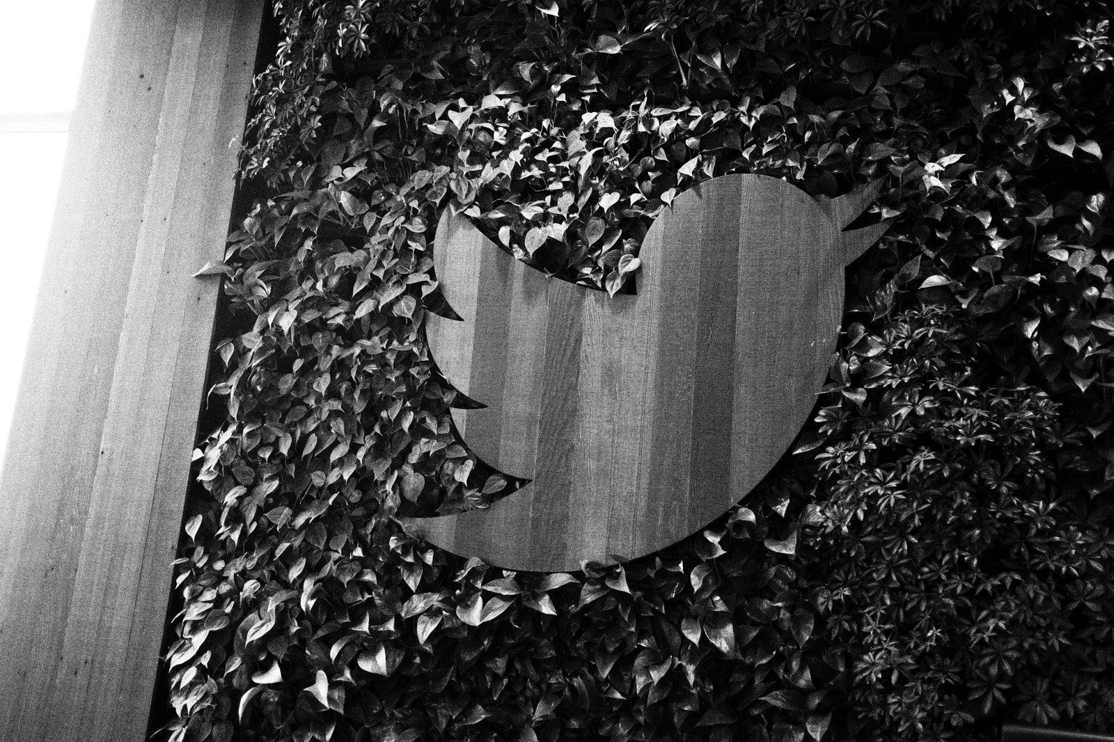 Nature Meets Technology