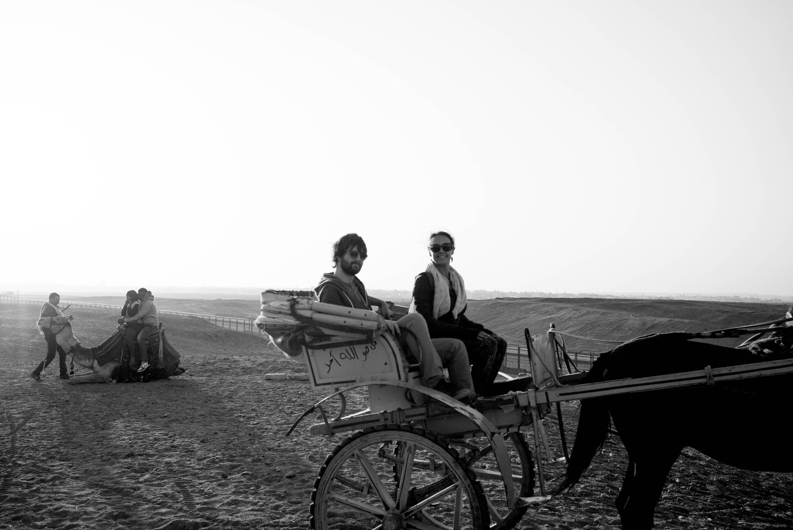 Desert Dreams on a Cart
