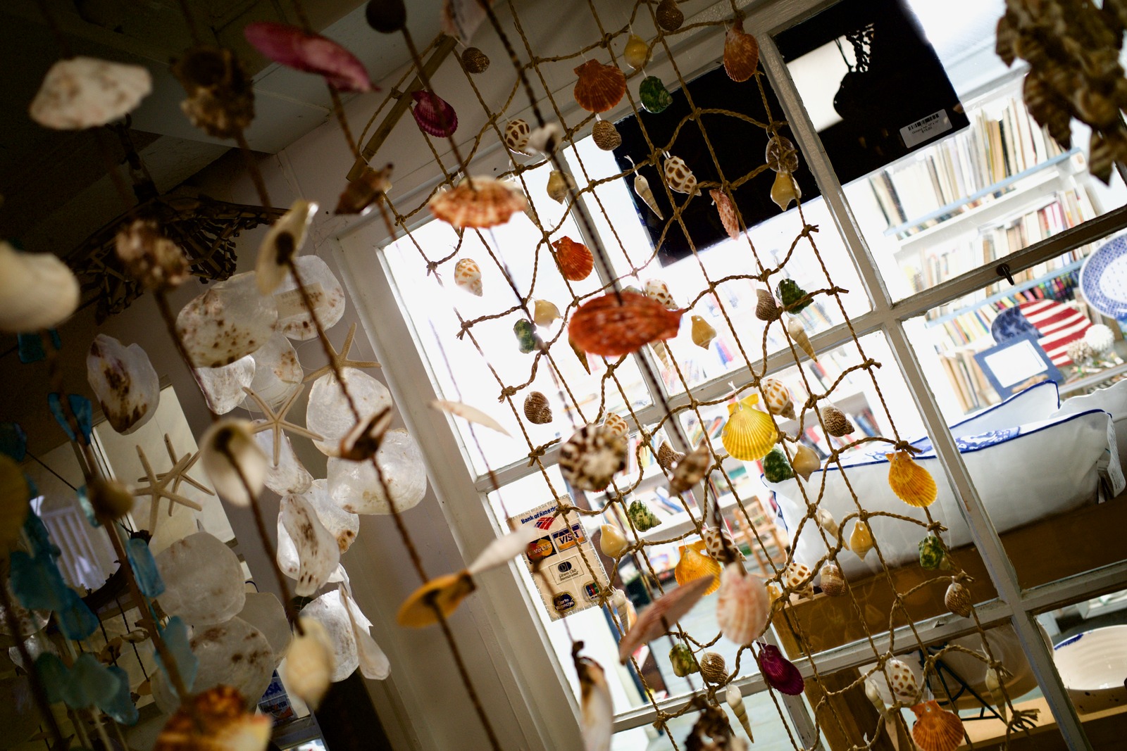 Seashell Treasures Behind Glass