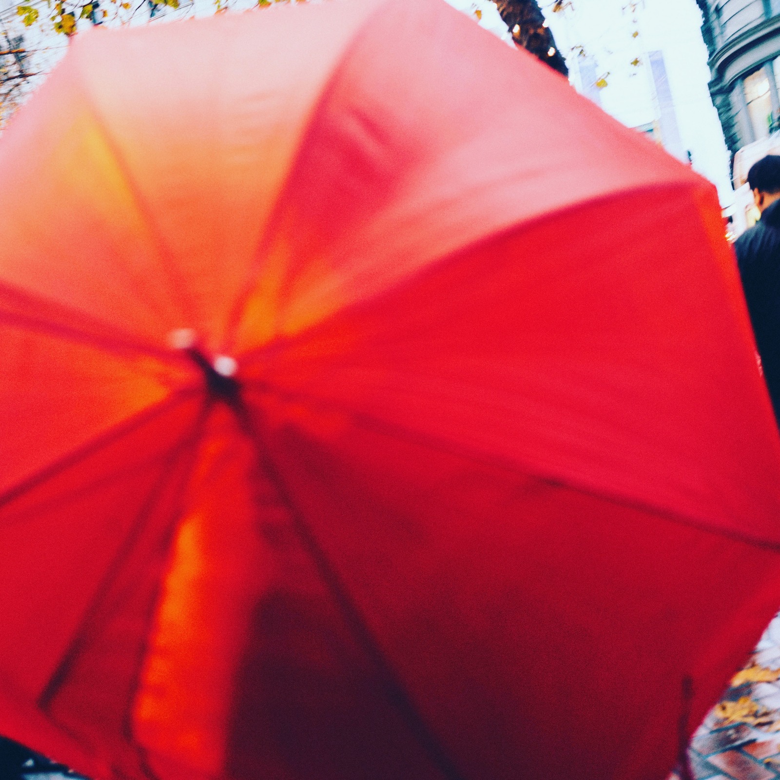 Umbrella in the City Rain
