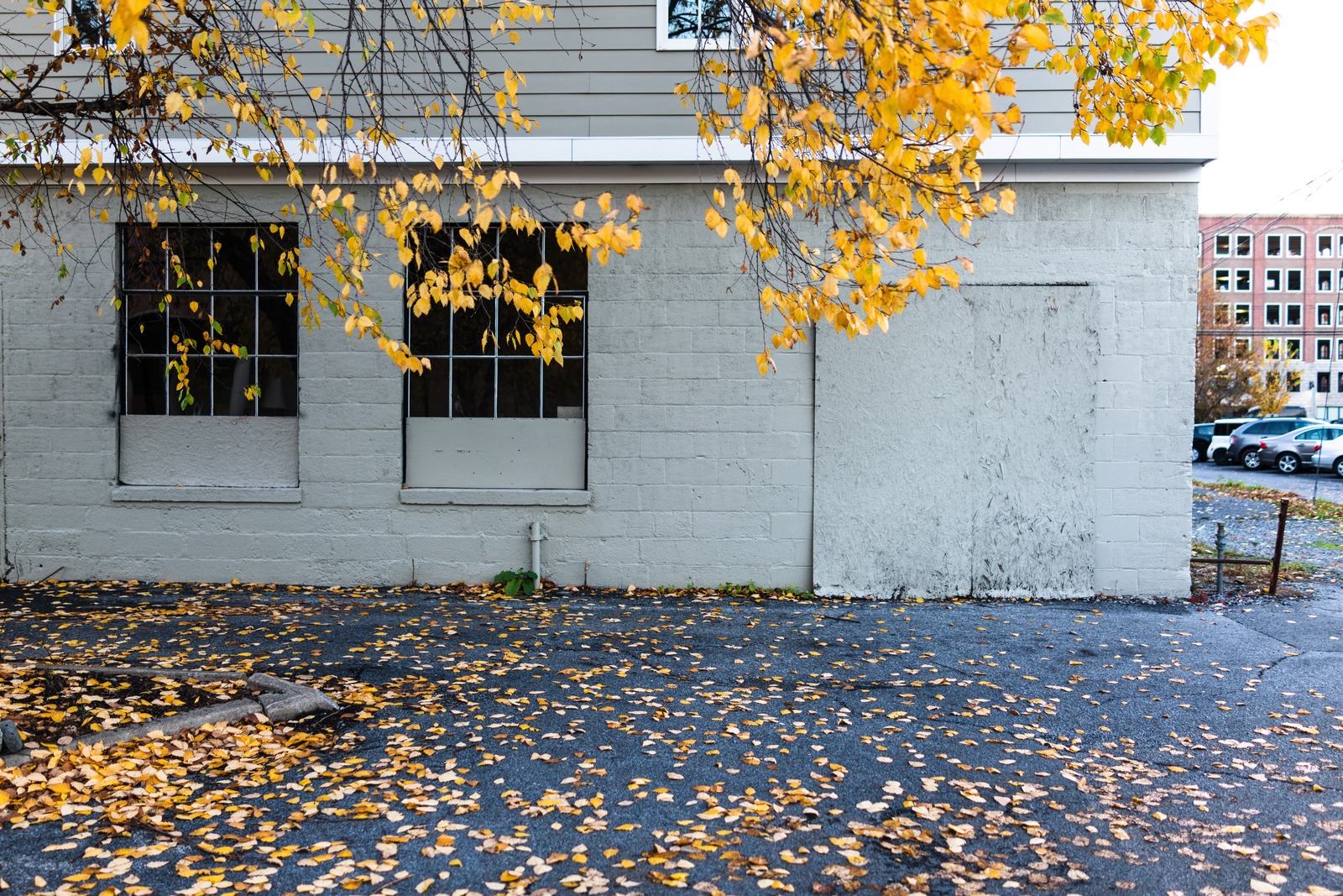 Autumn's Quiet Embrace