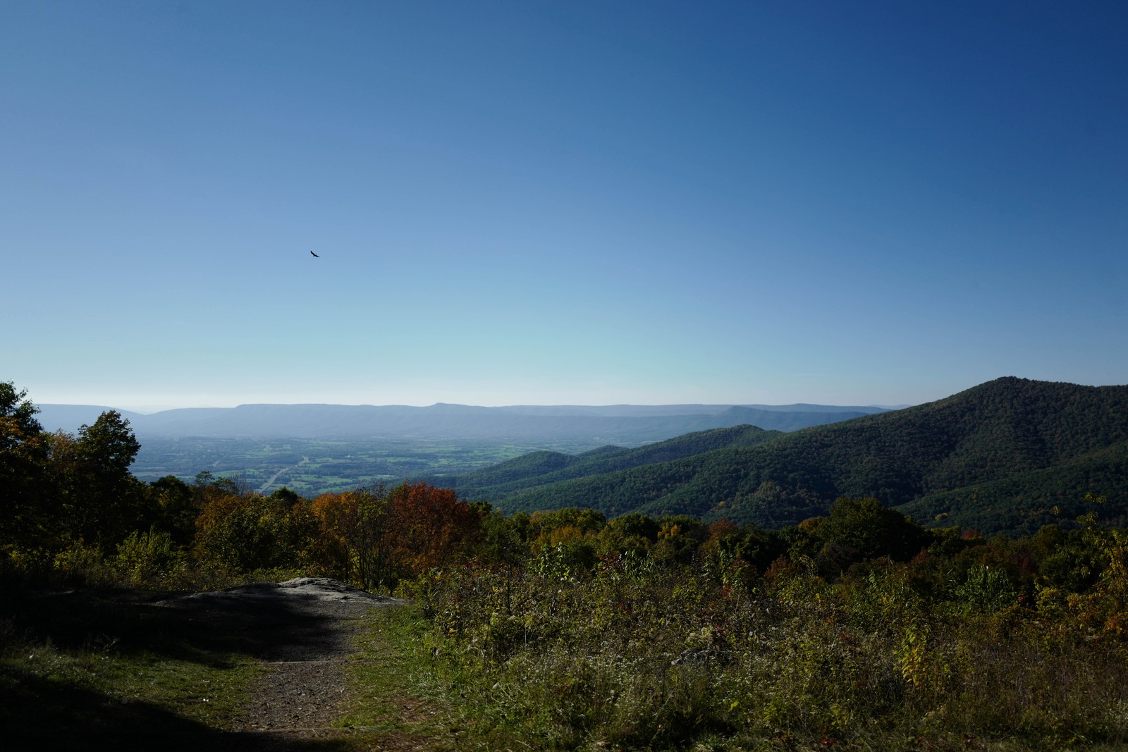 Expansive Mountain Vista
