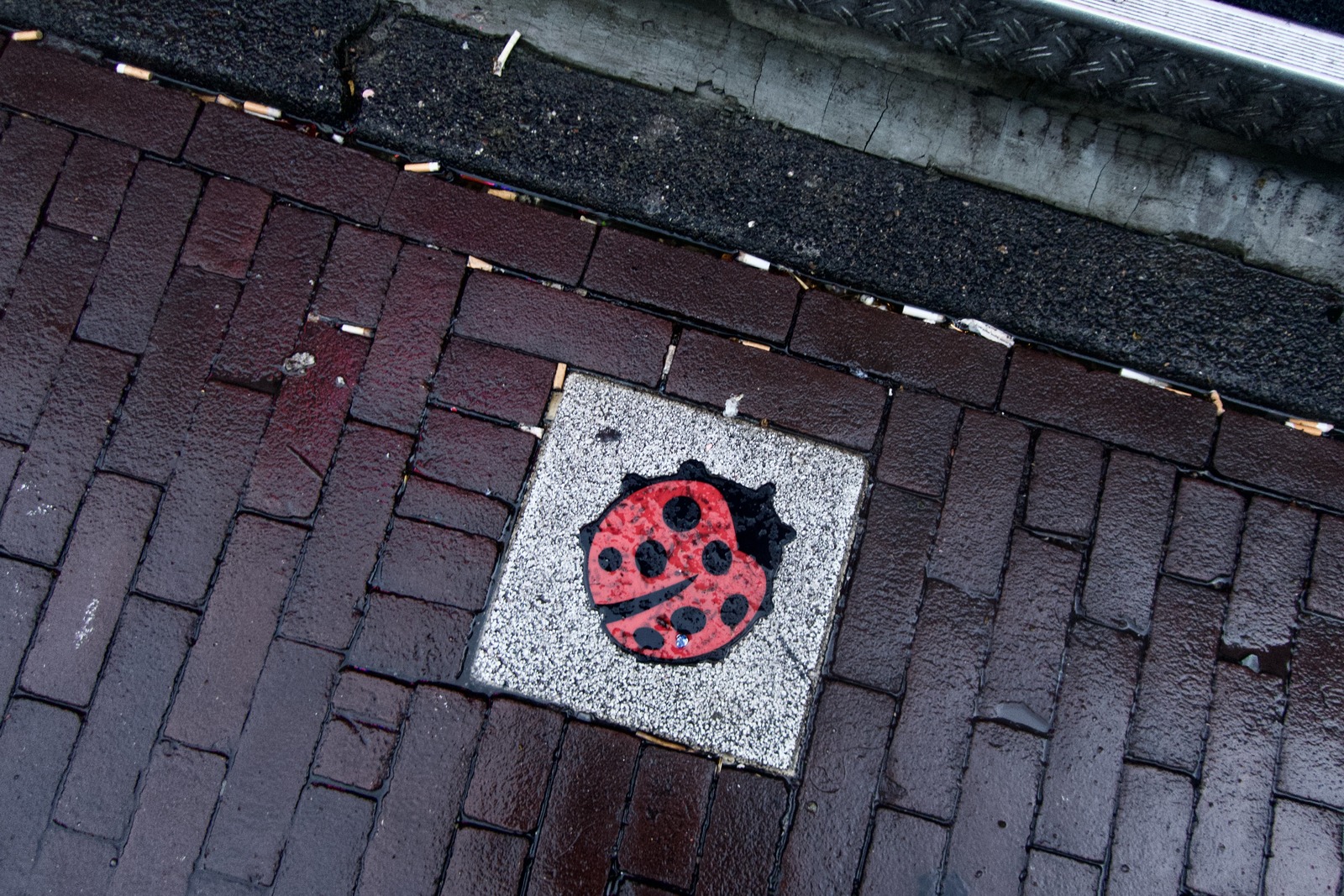 Urban Ladybug