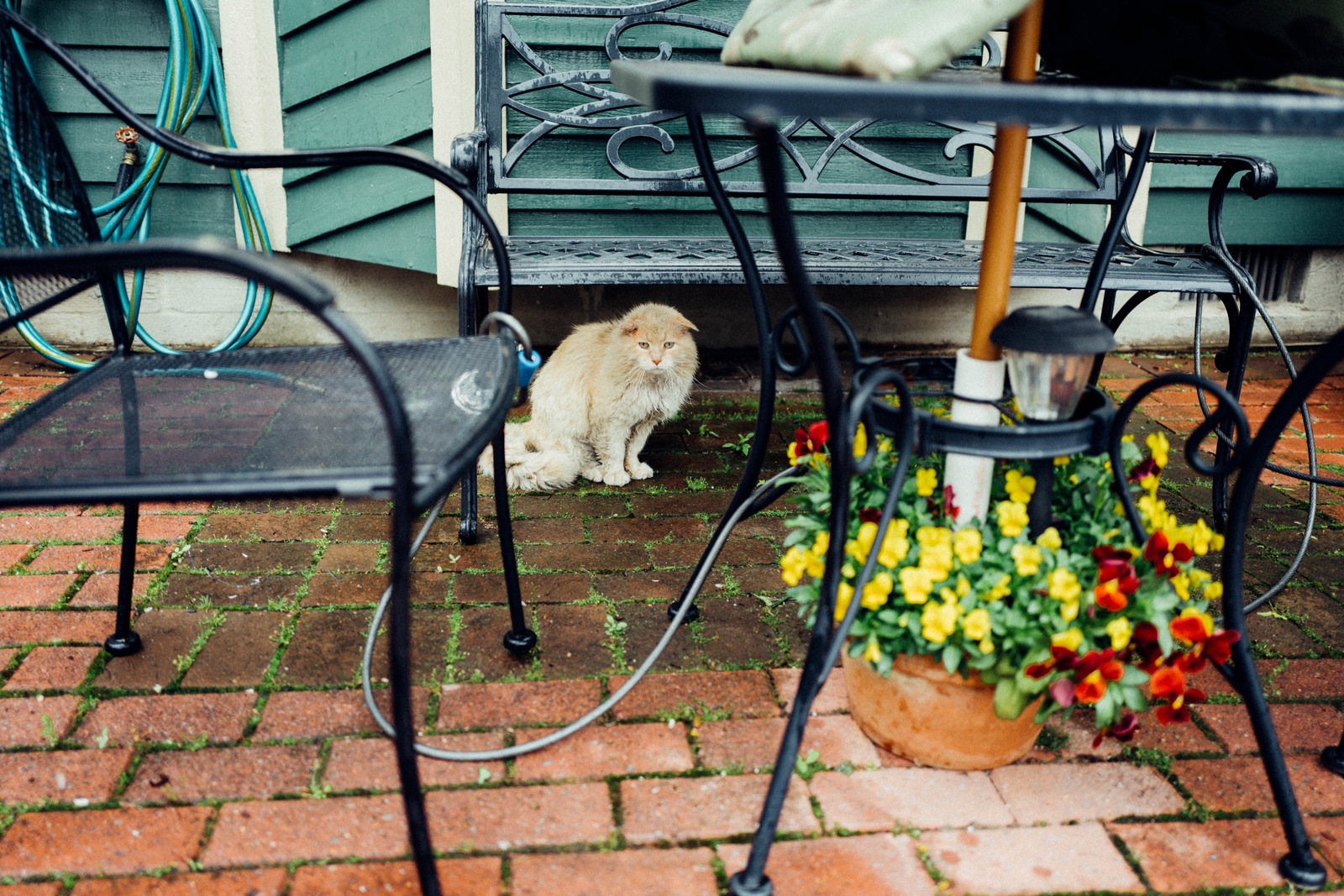 A Quiet Moment in the Garden