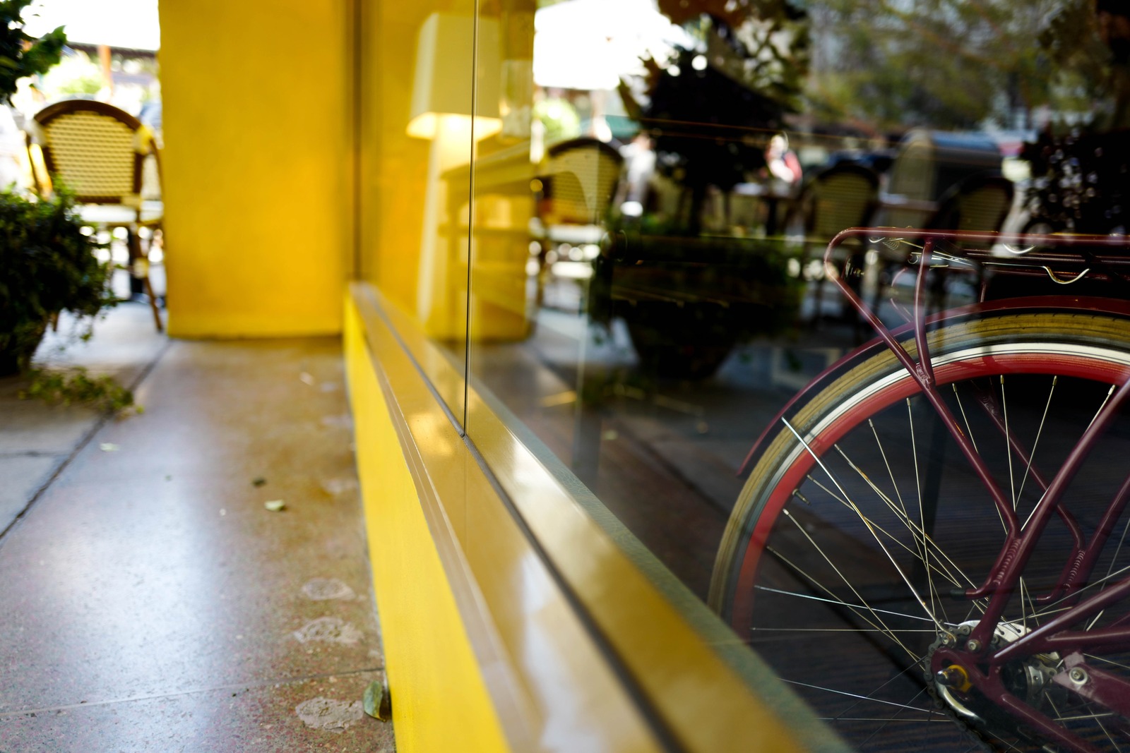 Reflections of Leisure