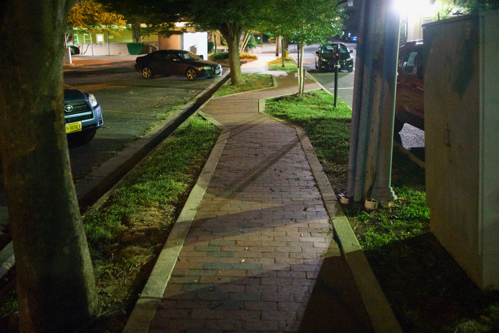 Night Pathway