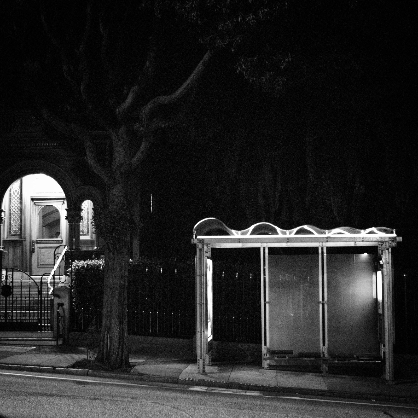 Night Solitude at the Bus Stop