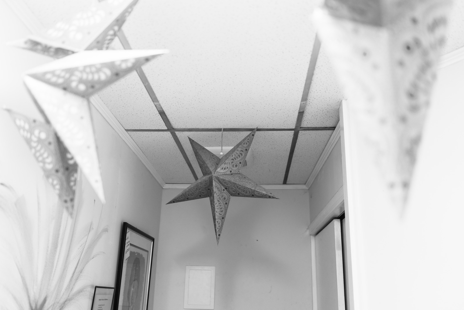 Stars in Silent Halls