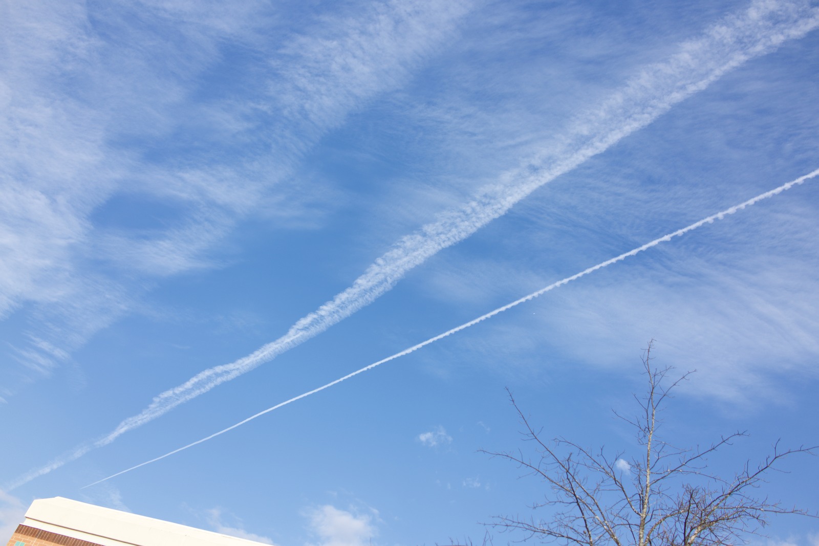 Contrails Against Blue