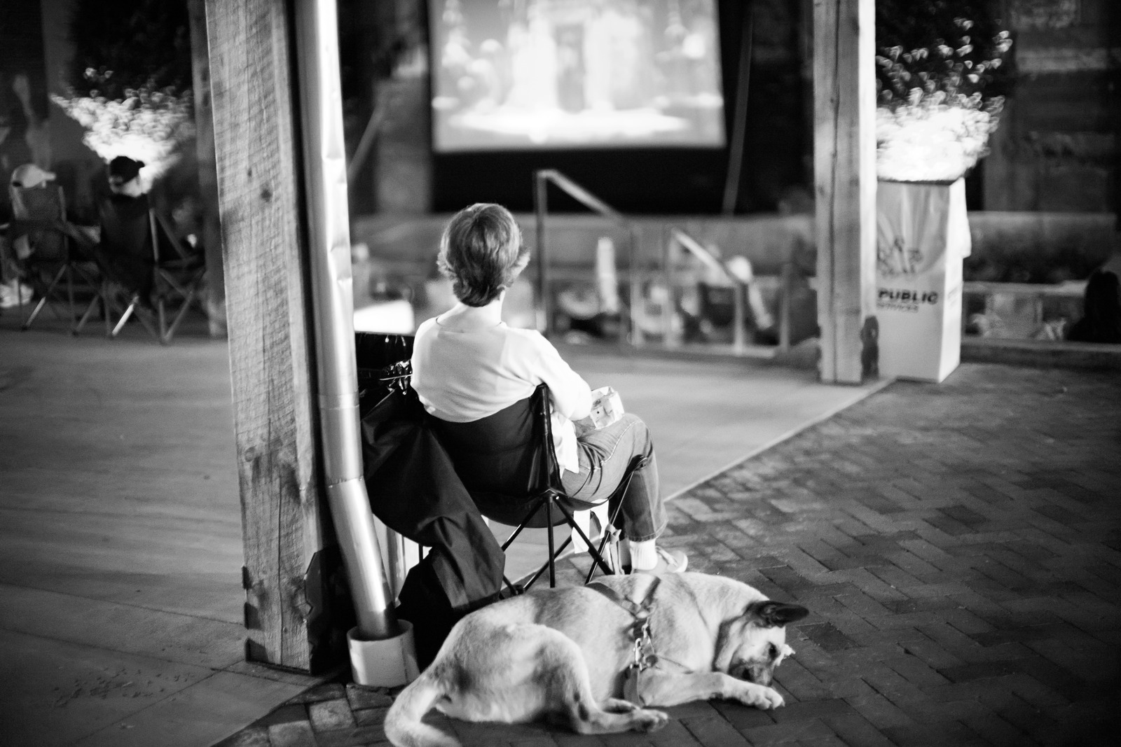 A Quiet Evening Watch