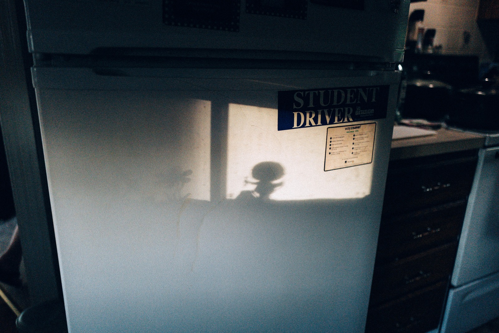 Shadows of Everyday Life