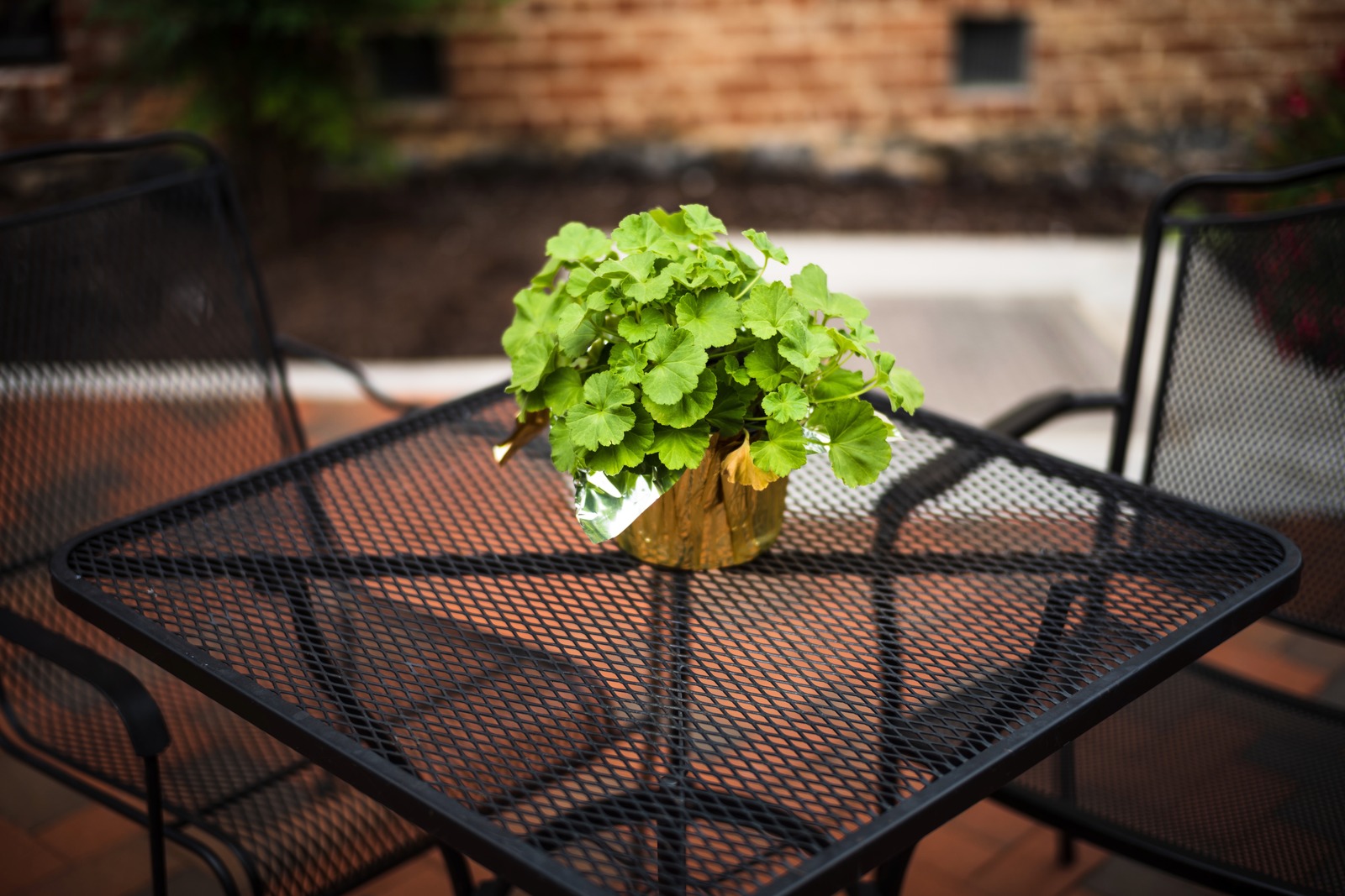 A Quiet Outdoor Retreat