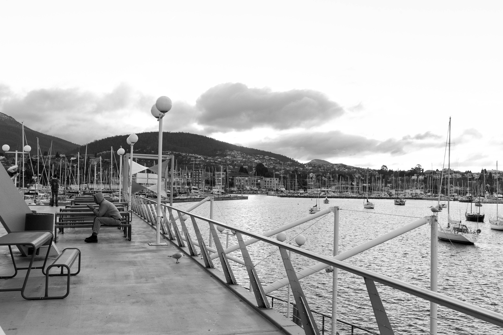 Lonely Moments at the Harbor