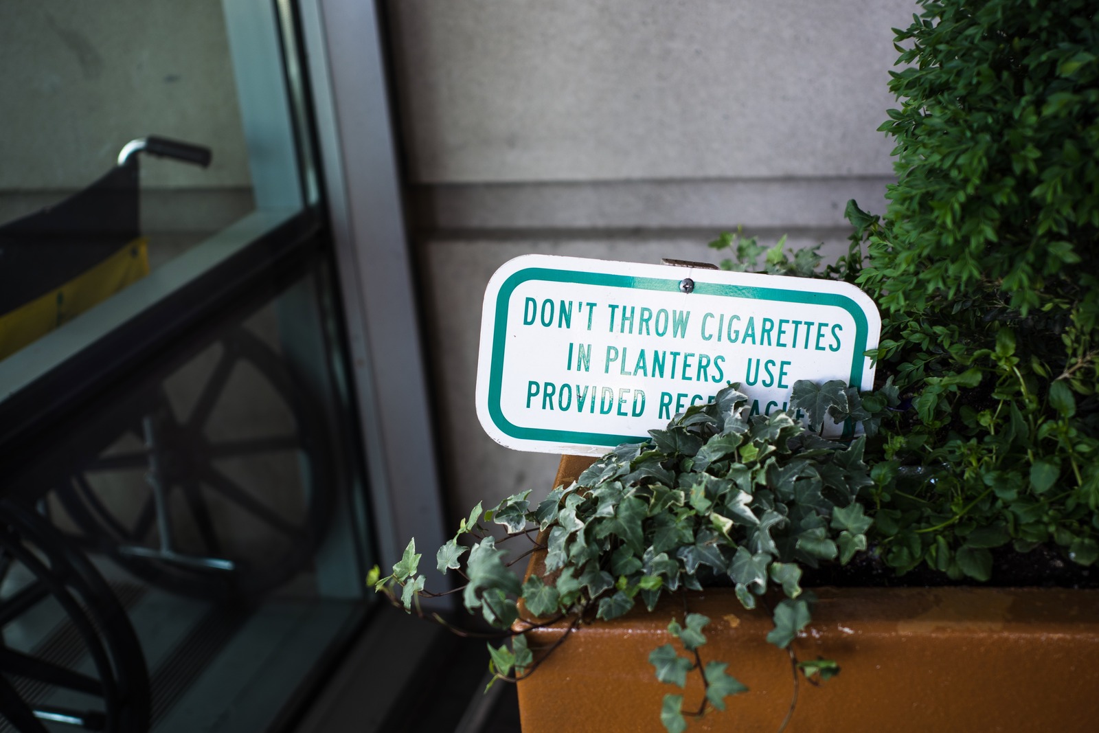 Urban Greenery and Reminder